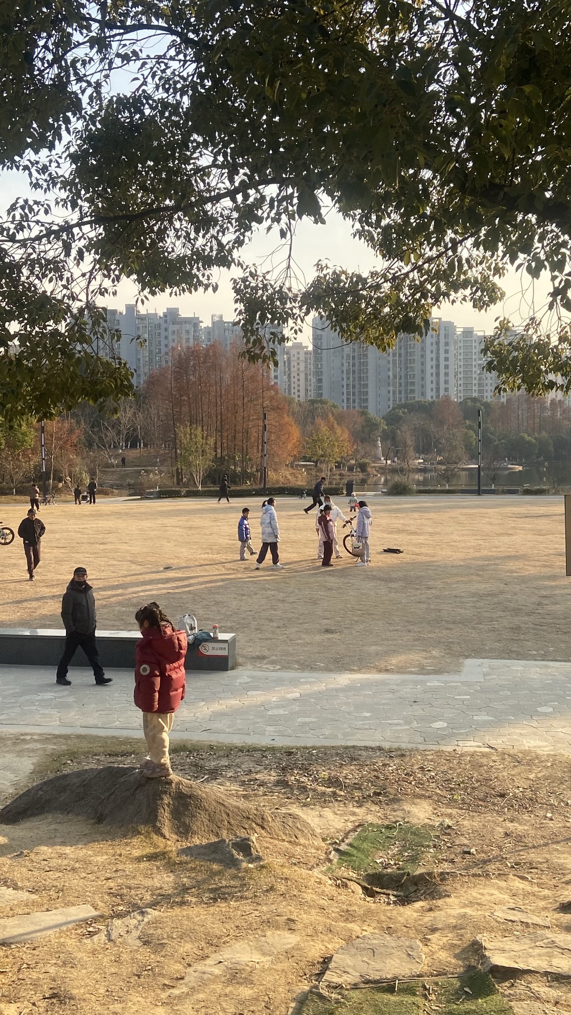 顾炎武公园旅行图片 3