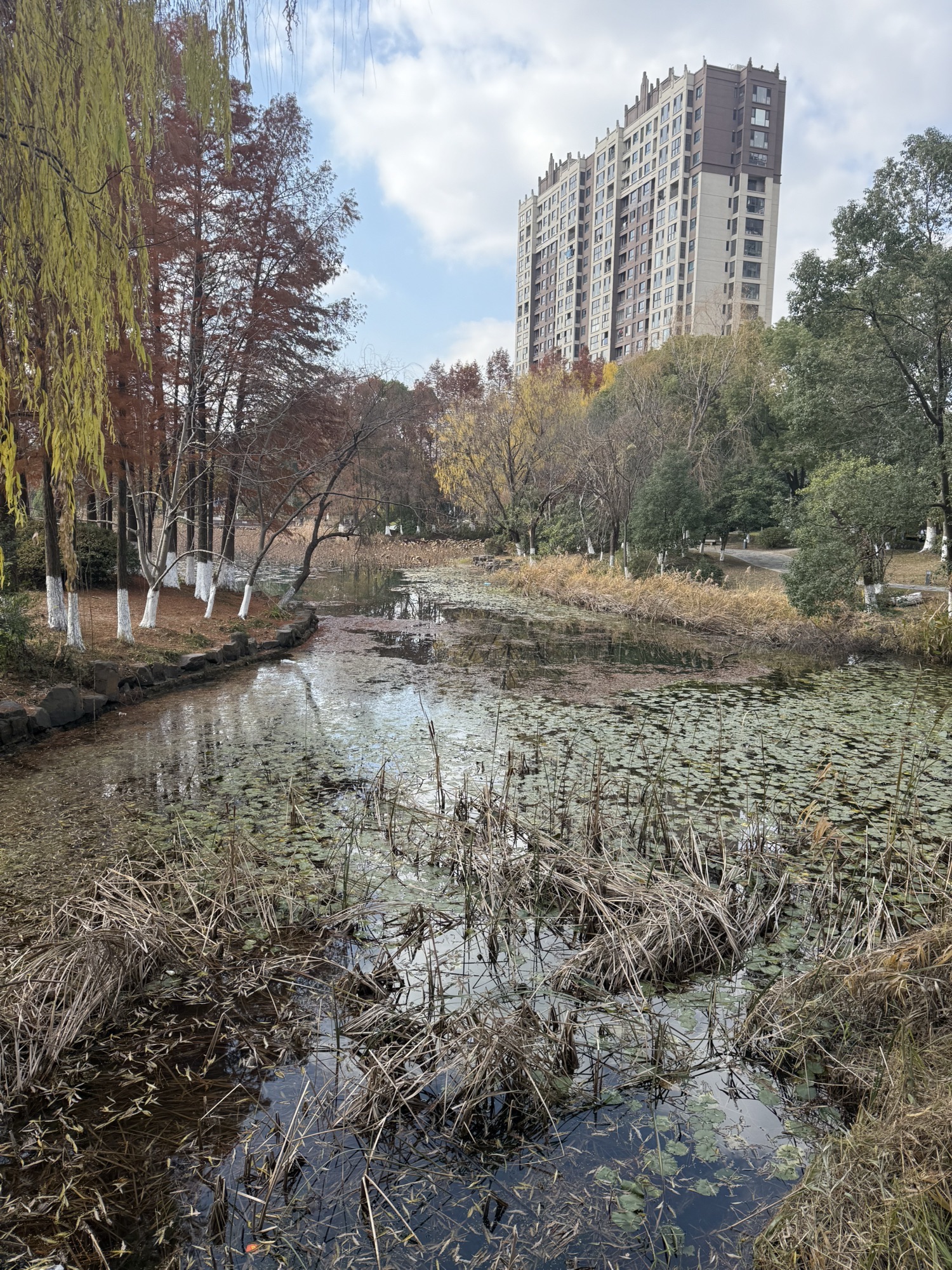 顾炎武公园旅行图片 3