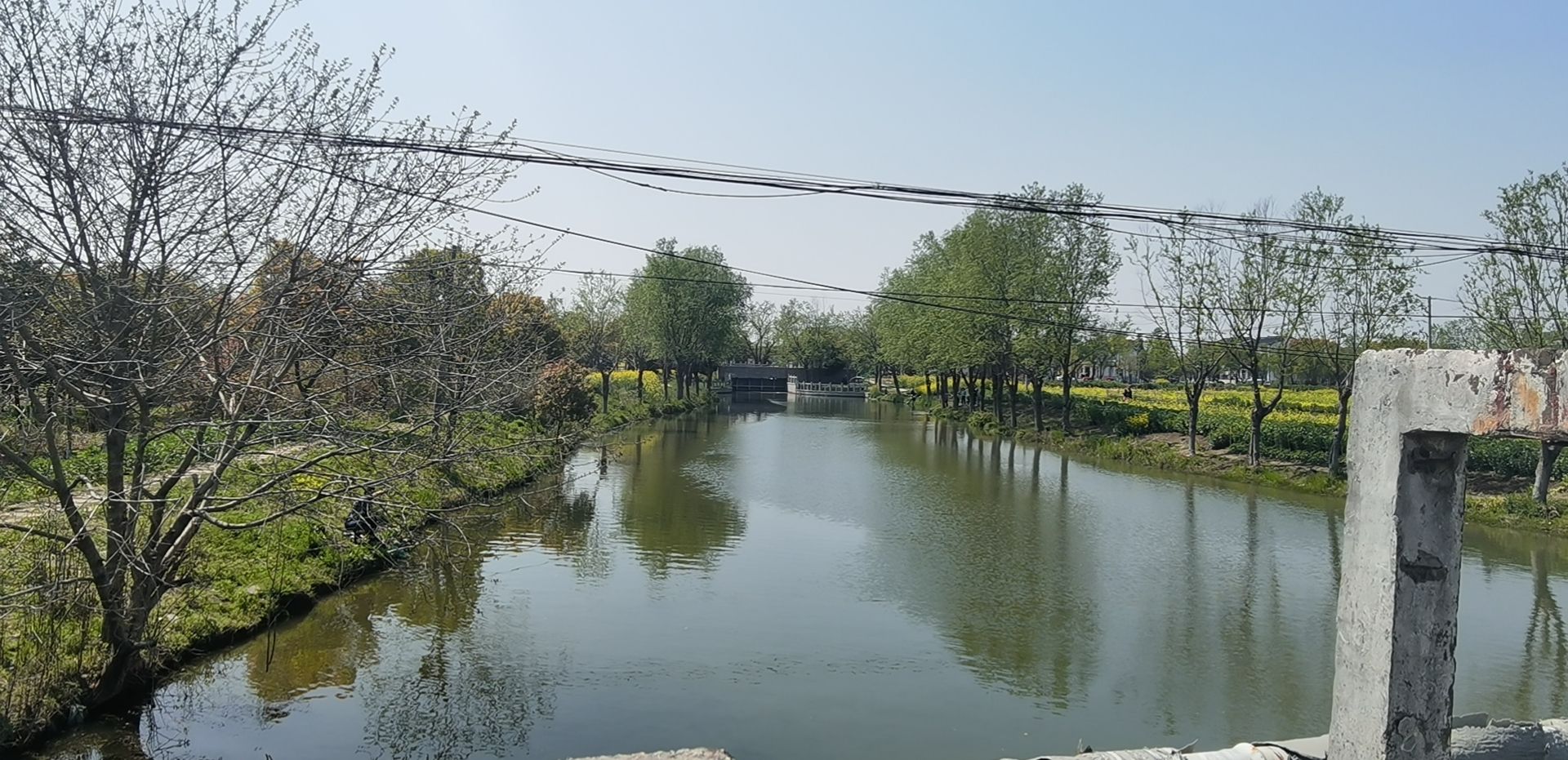 顾炎武公园旅行图片 1