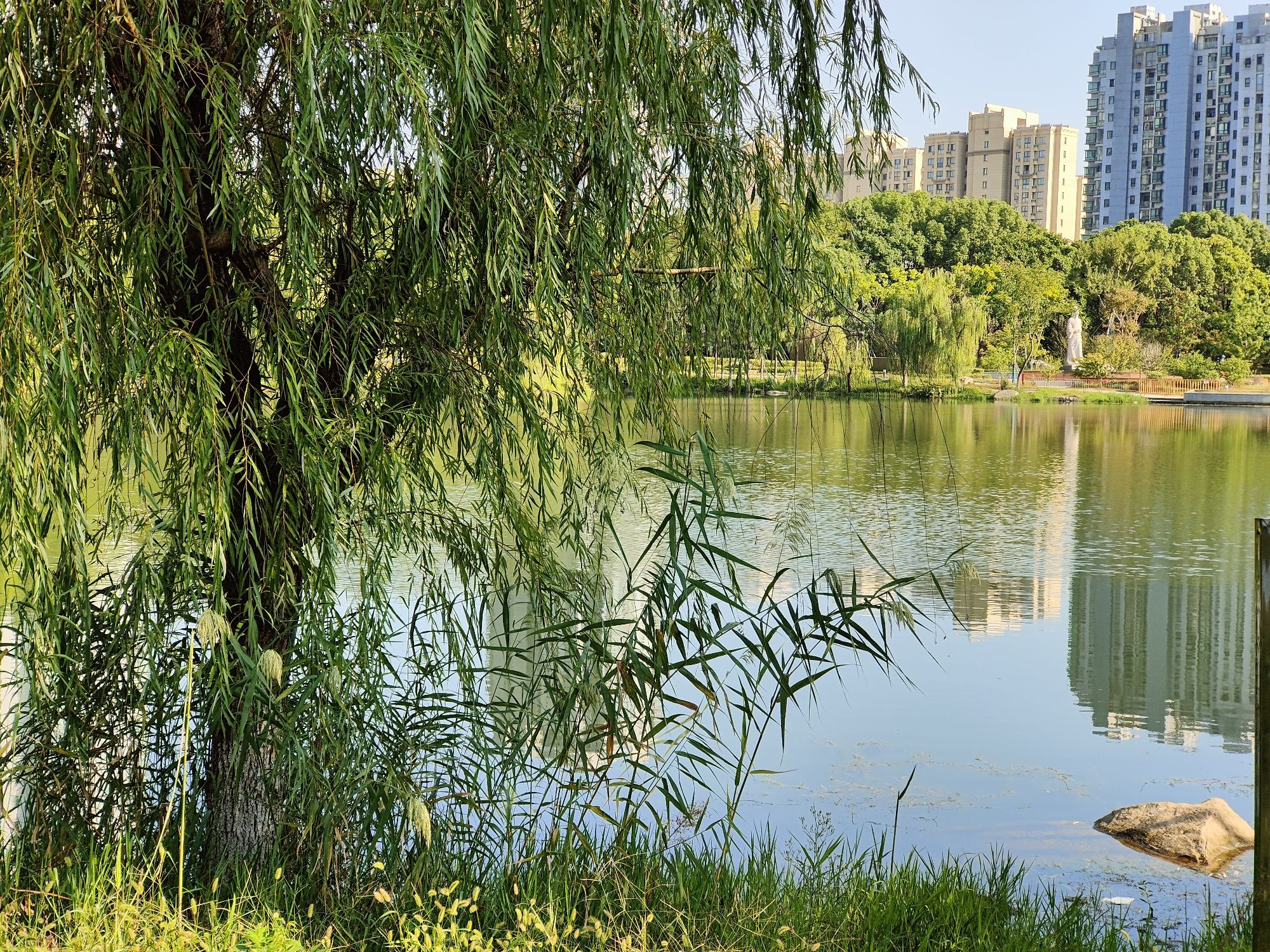 顾炎武公园旅行图片 1