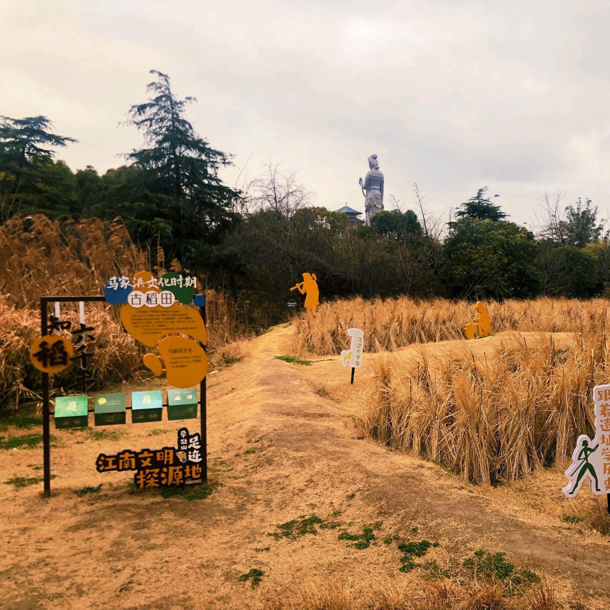 草鞋山考古遗址公园旅行图片 3