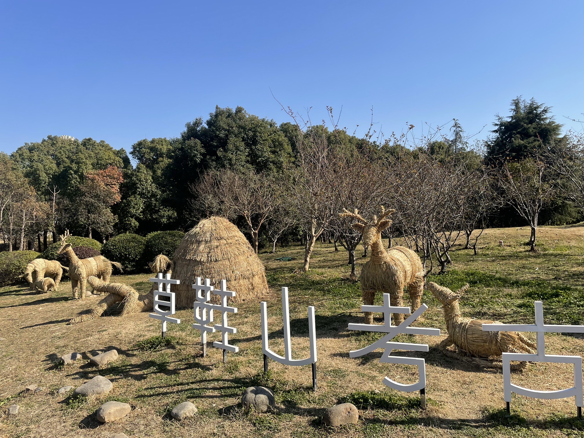 草鞋山考古遗址公园旅行图片 1