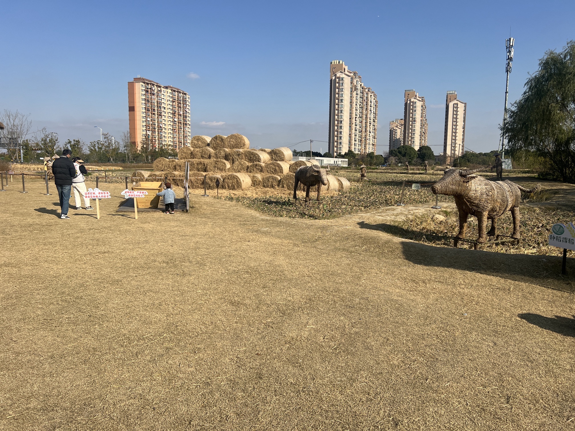 草鞋山考古遗址公园旅行图片 3