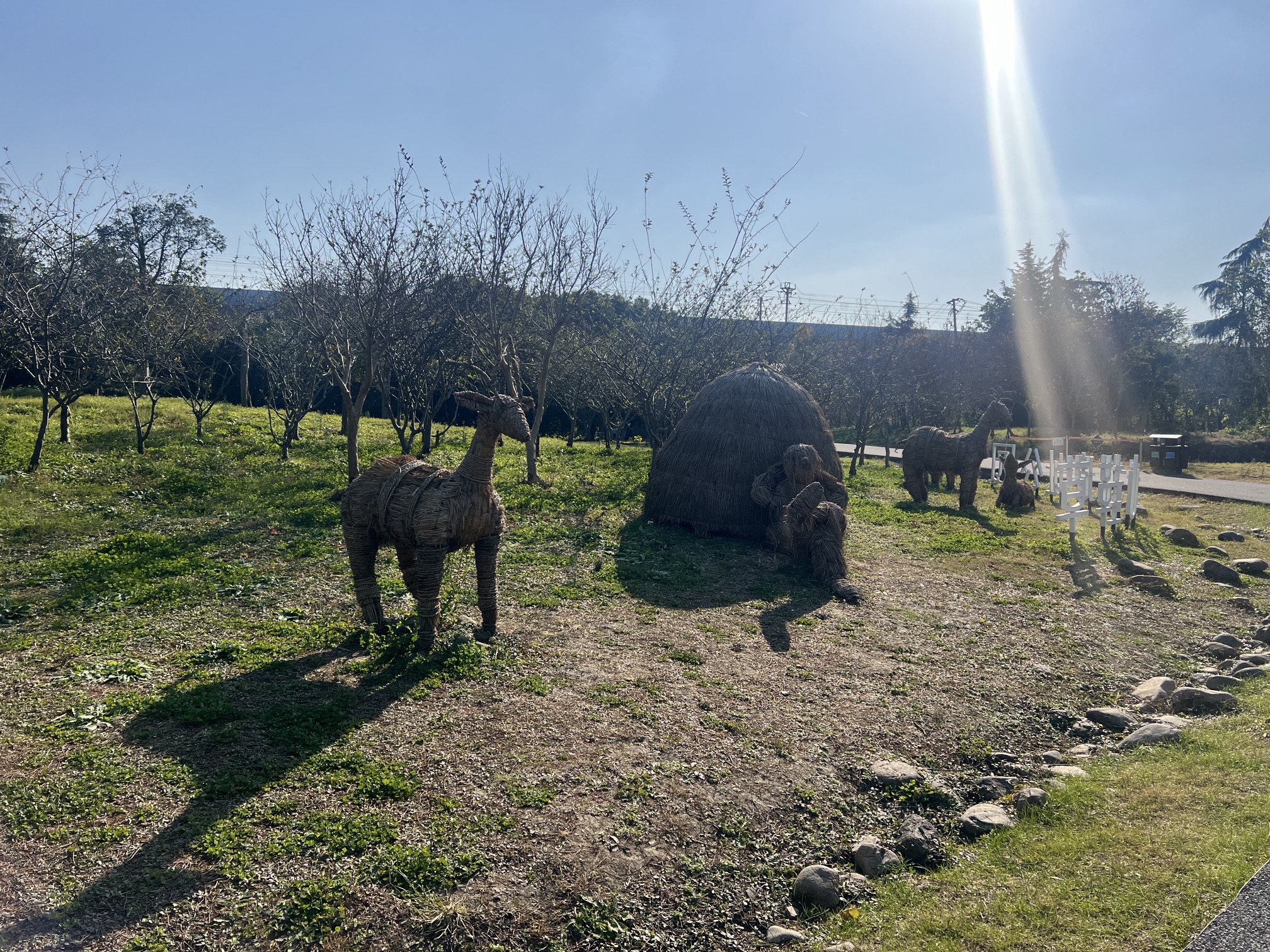 草鞋山考古遗址公园旅行图片 2