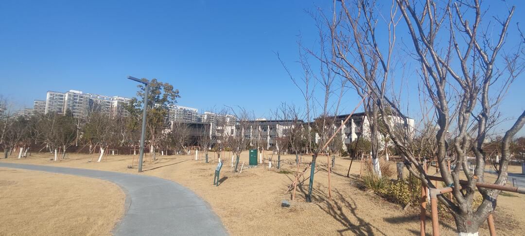 活力岛旅行图片 1