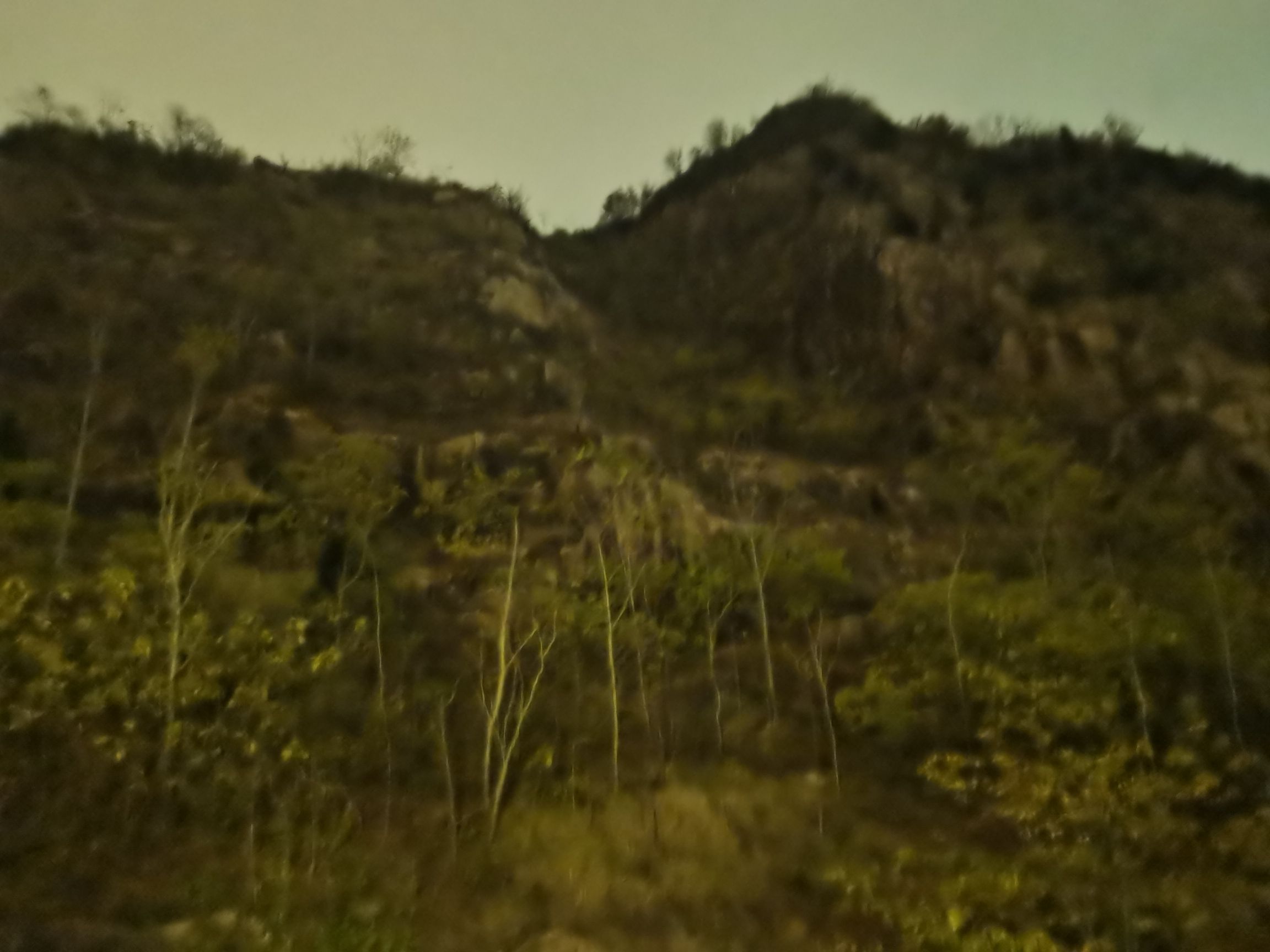 高景山公园旅行图片 3