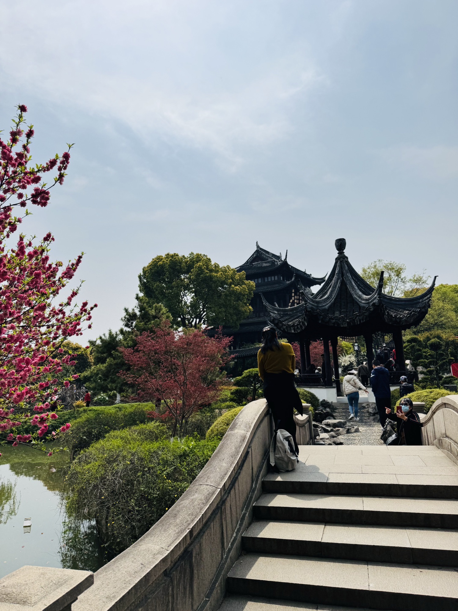 盘门景区-瑞光禅寺放生池实景照片