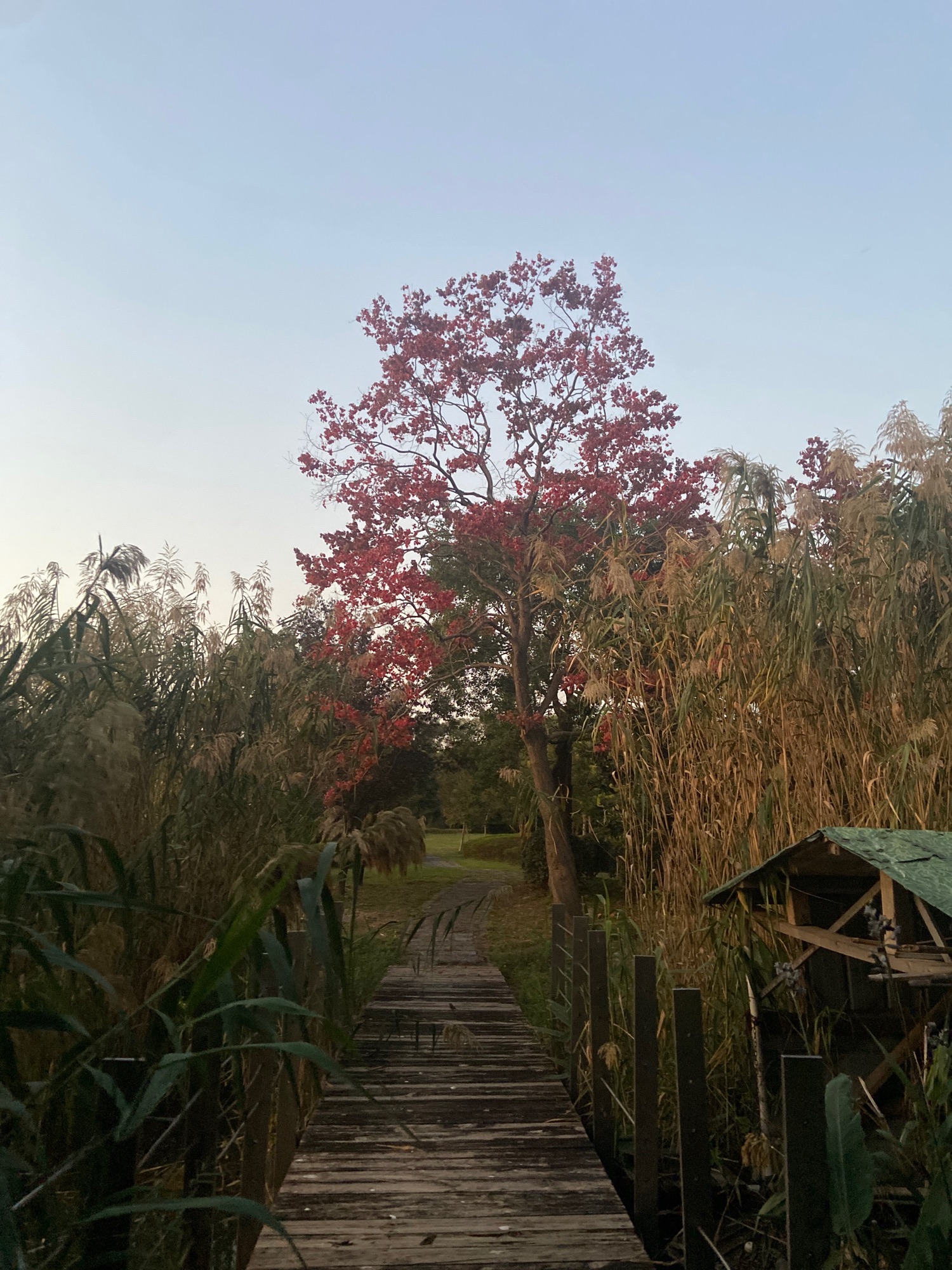 尹山湖旅行图片 3