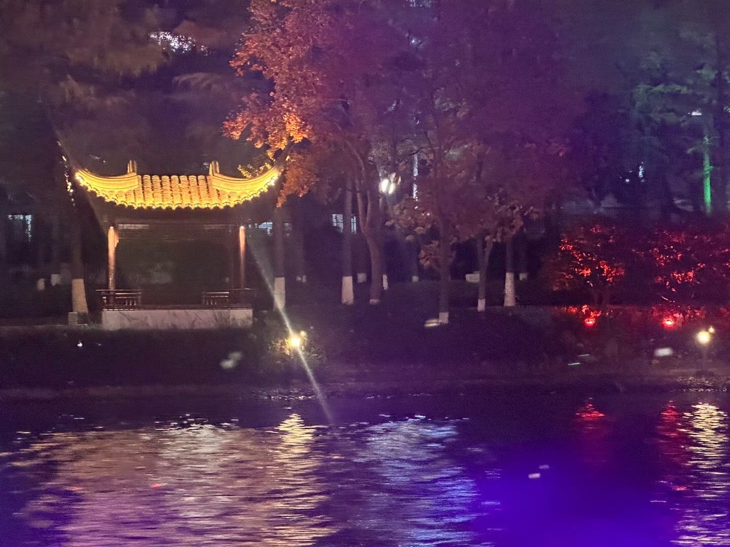 古运河夜游旅行图片 3