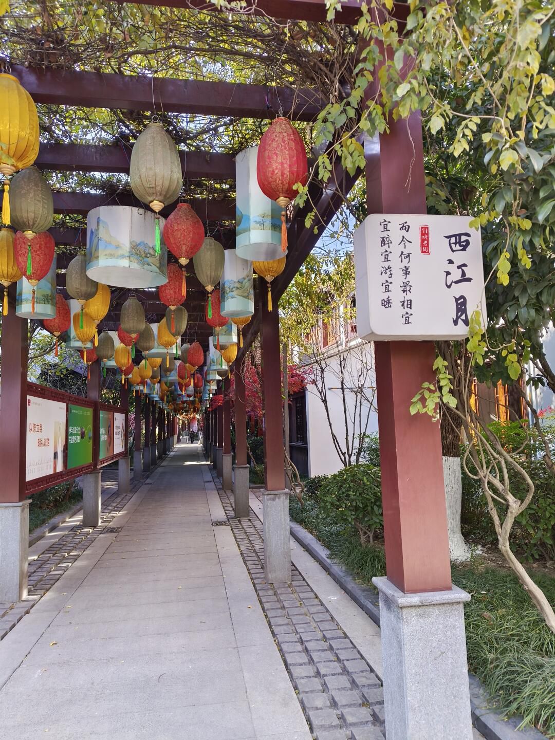 斜塘老街旅行图片 2