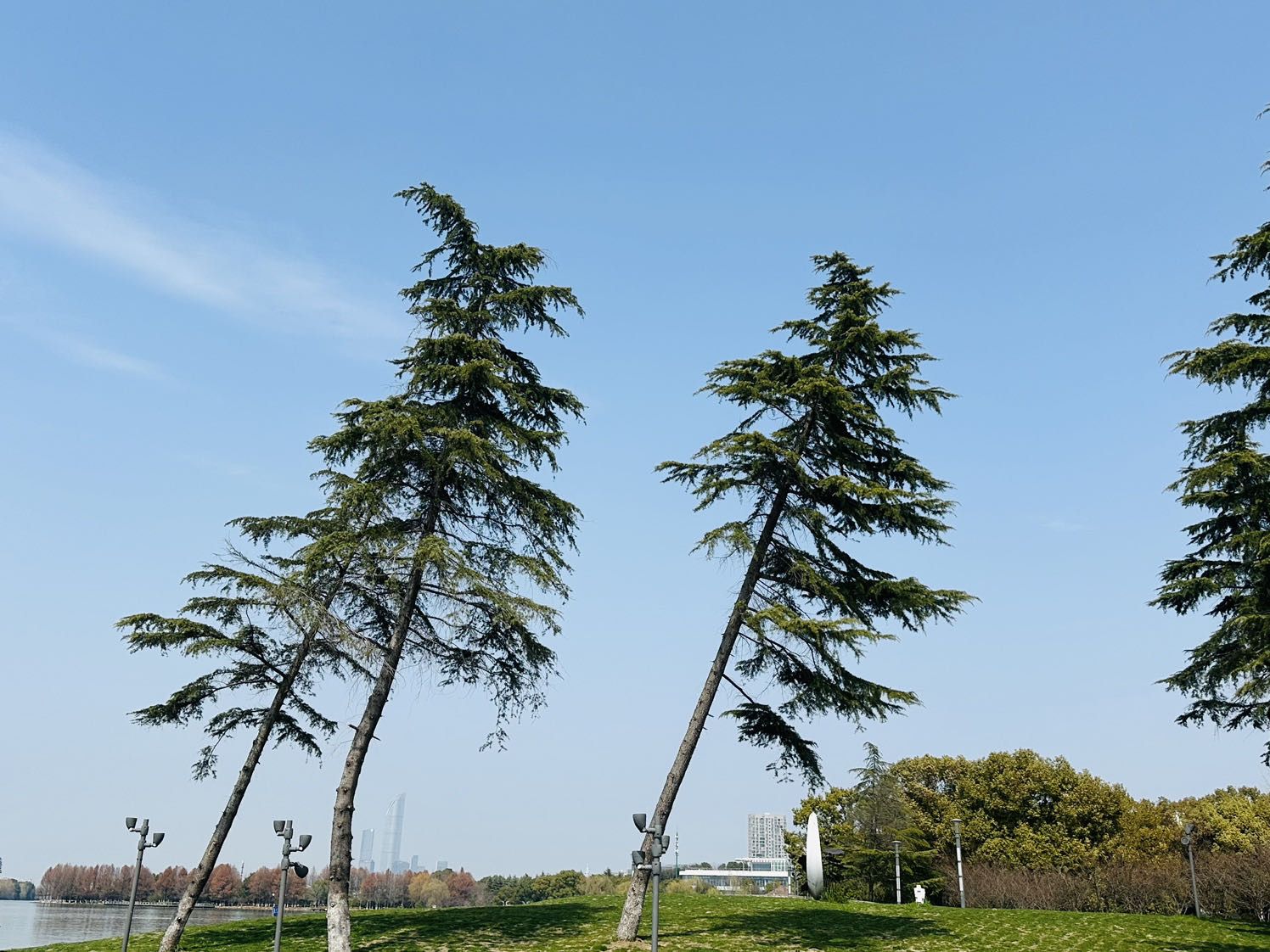白鹭园旅行图片 3