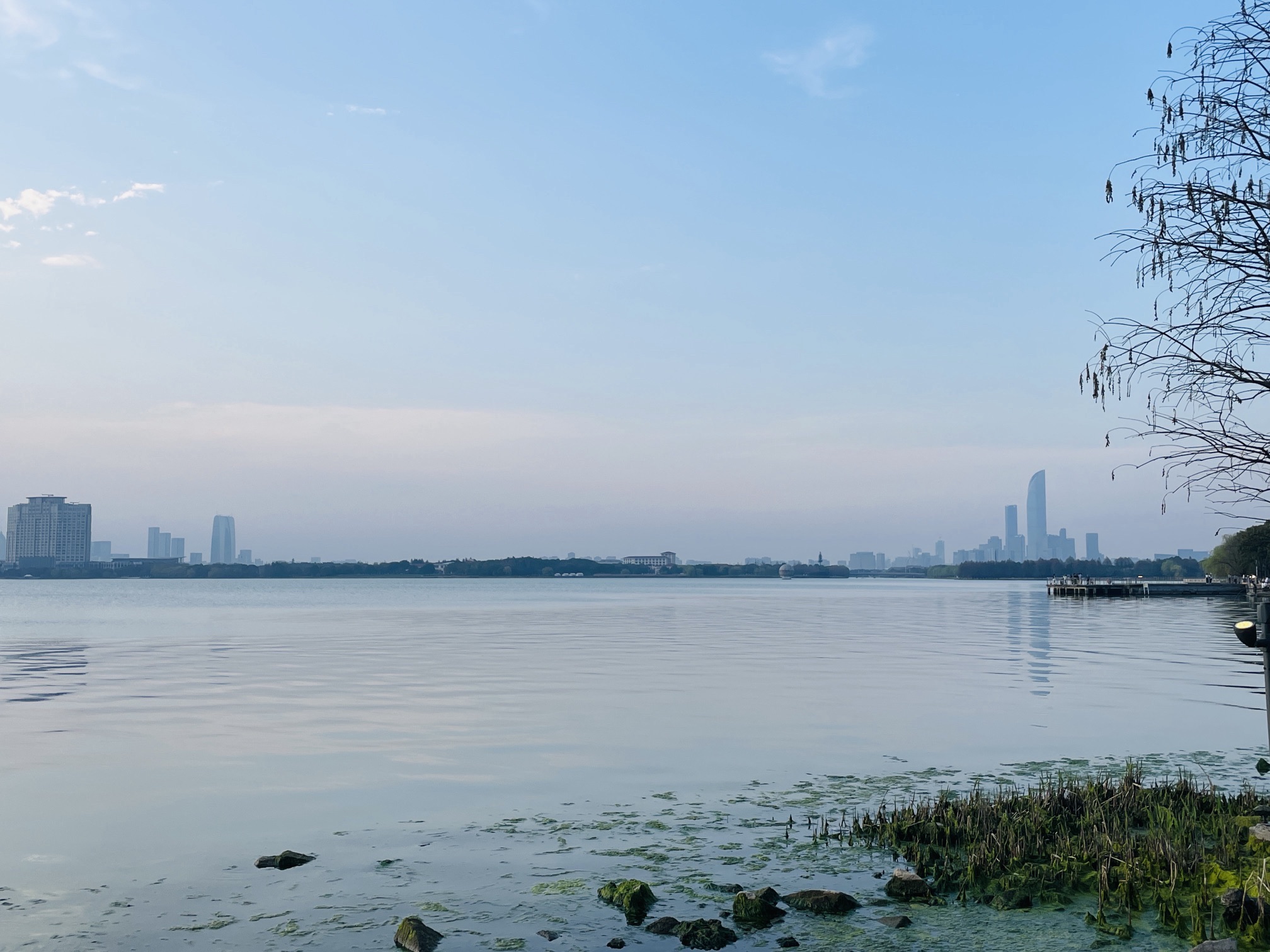 白鹭园旅行图片 1