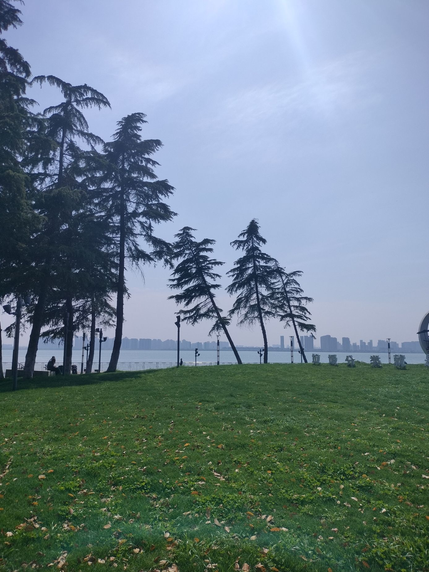 白鹭园旅行图片 2