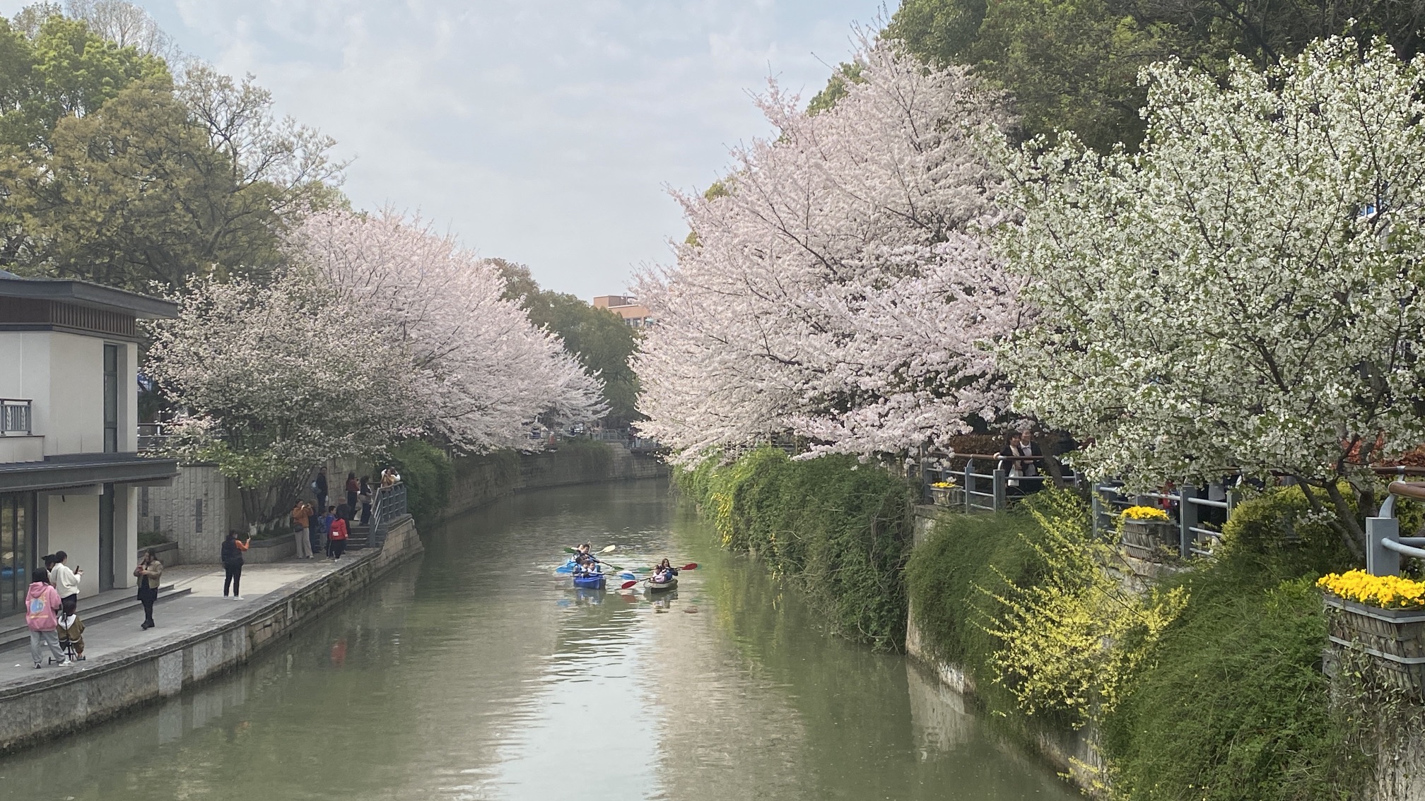 谷渎港旅行图片 2