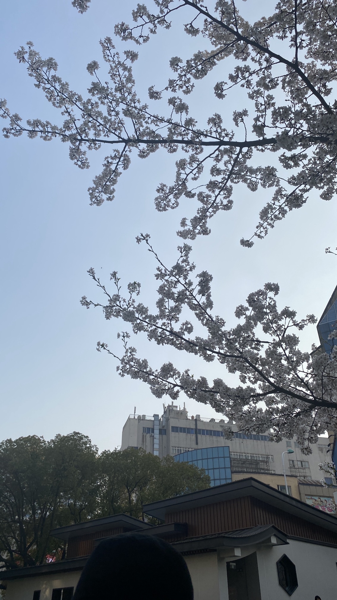 谷渎港旅行图片 3