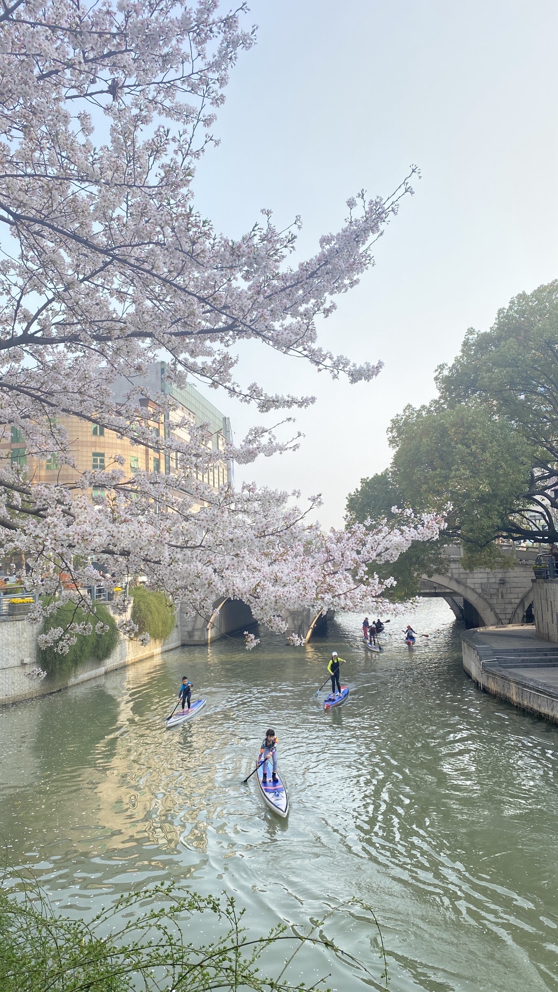 谷渎港旅行图片 1