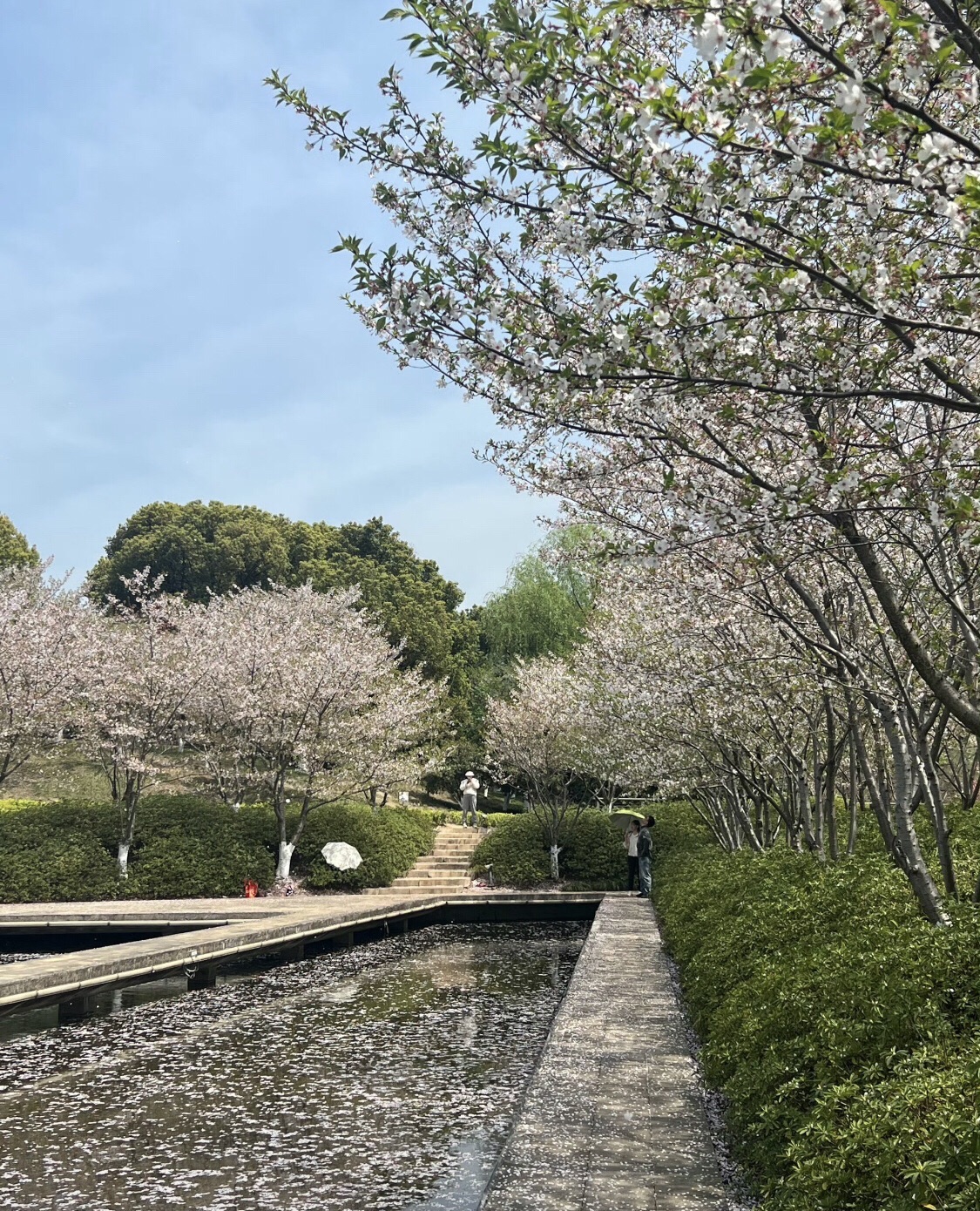 诺贝尔湖公园旅行图片 2