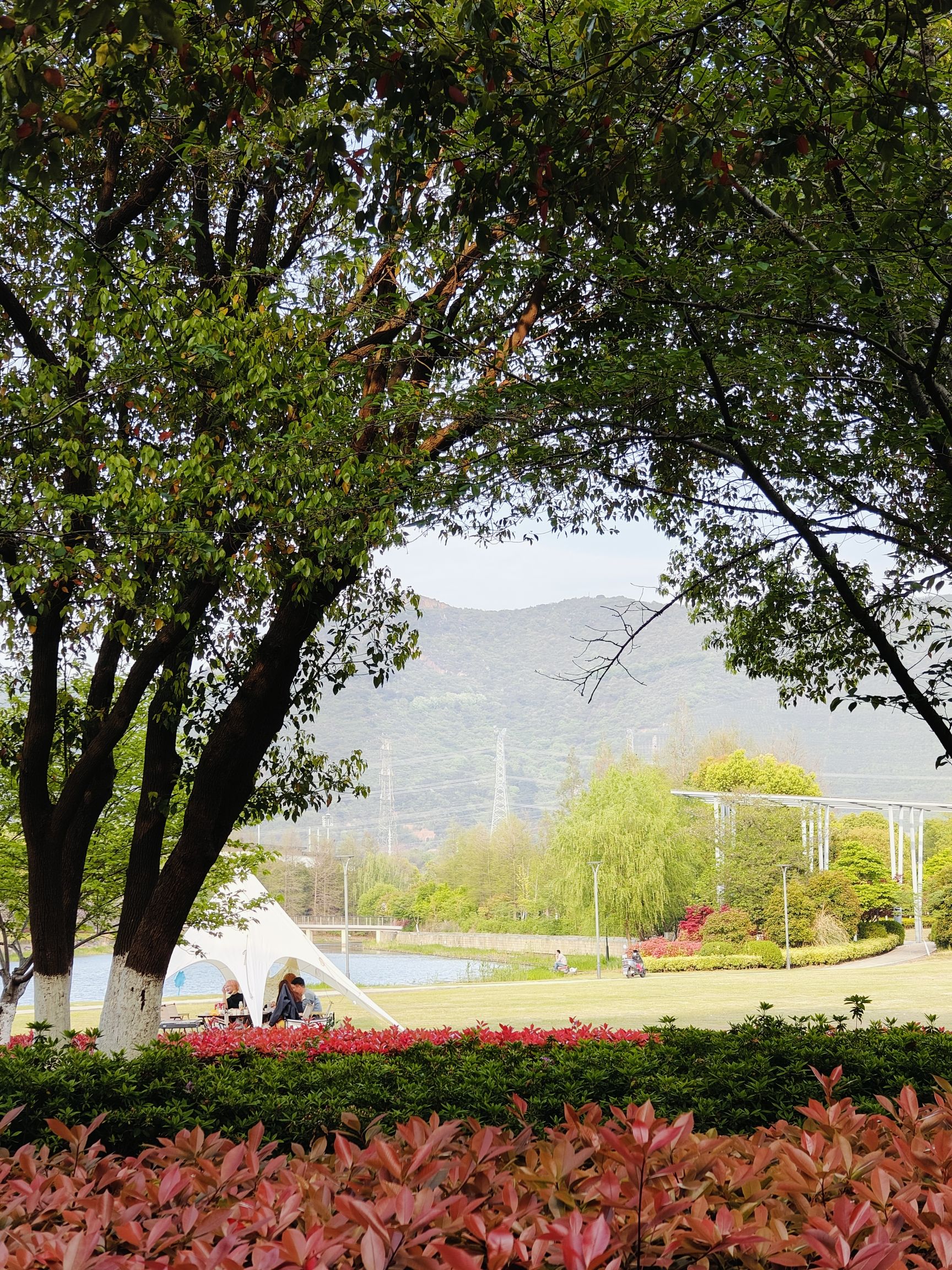 诺贝尔湖公园旅行图片 1