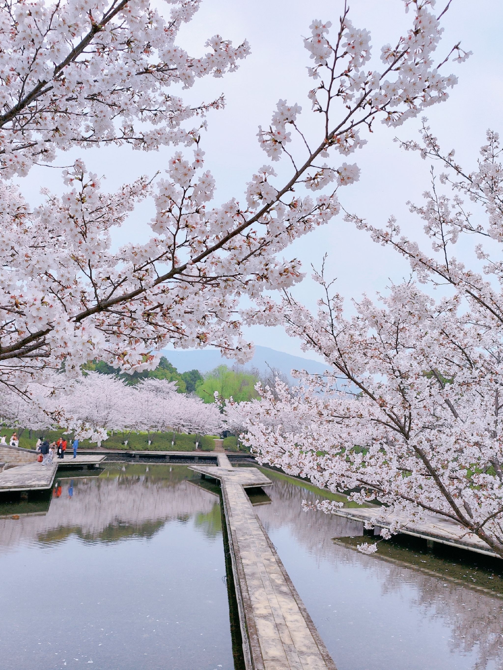 诺贝尔湖公园旅行图片 1