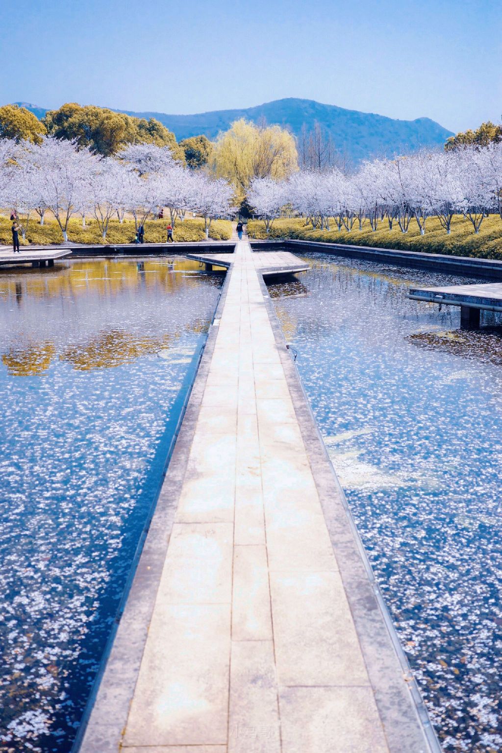 诺贝尔湖公园旅行图片 1