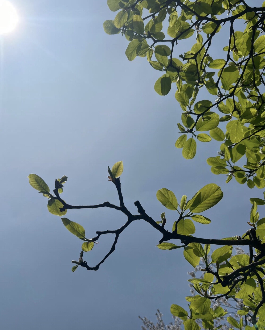 诺贝尔湖公园旅行图片 3