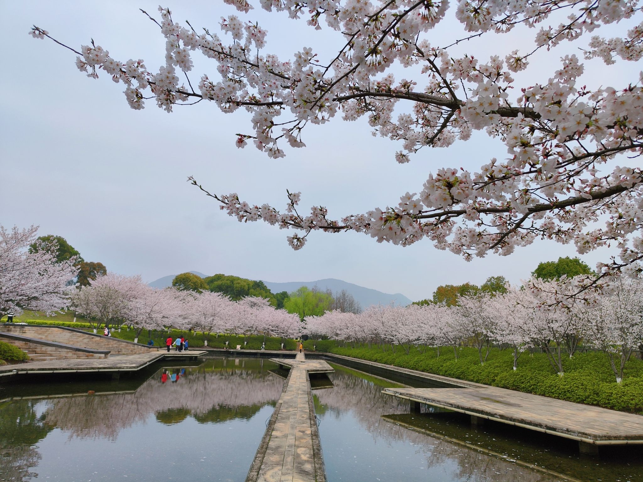 诺贝尔湖公园旅行图片 2