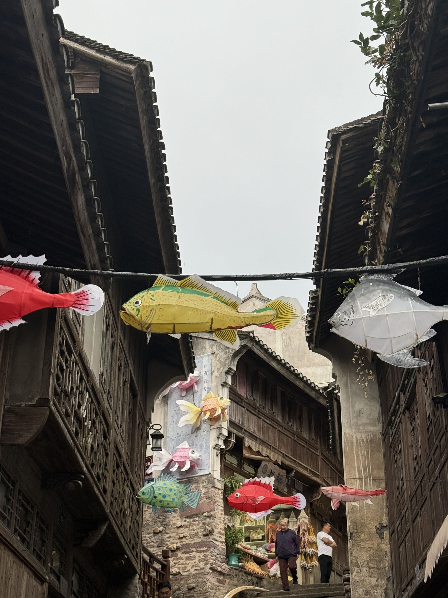 石浦公园旅行图片 3