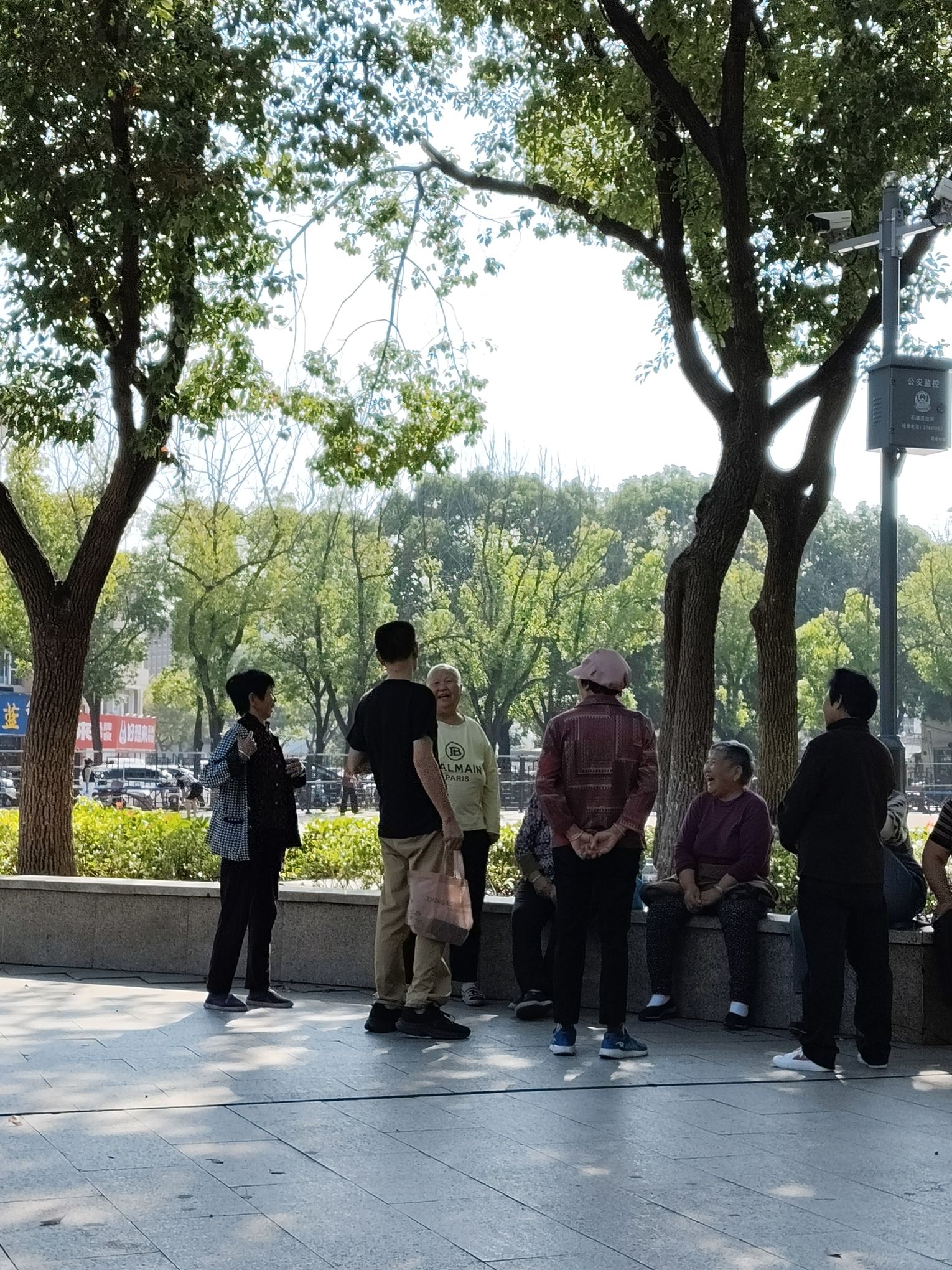 石浦公园旅行图片 2