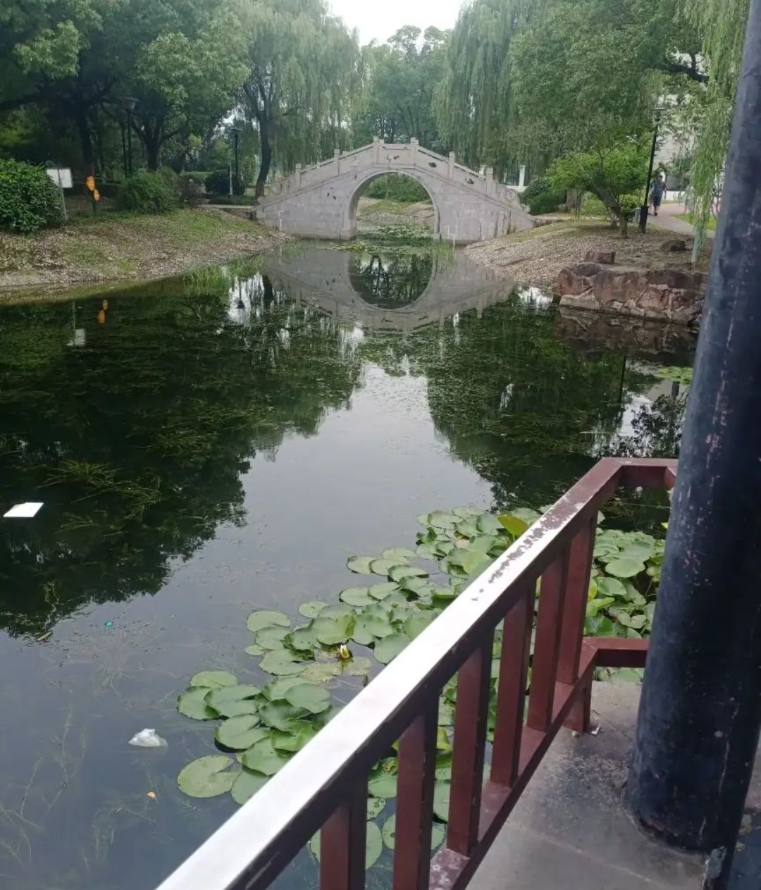 石浦公园旅行图片 2