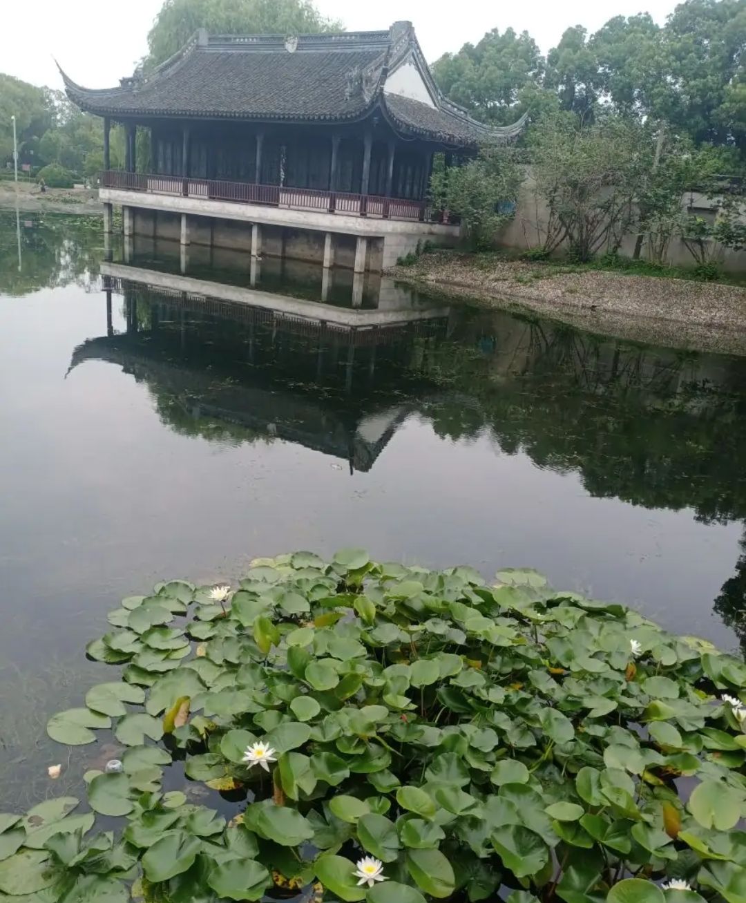 石浦公园旅行图片 1