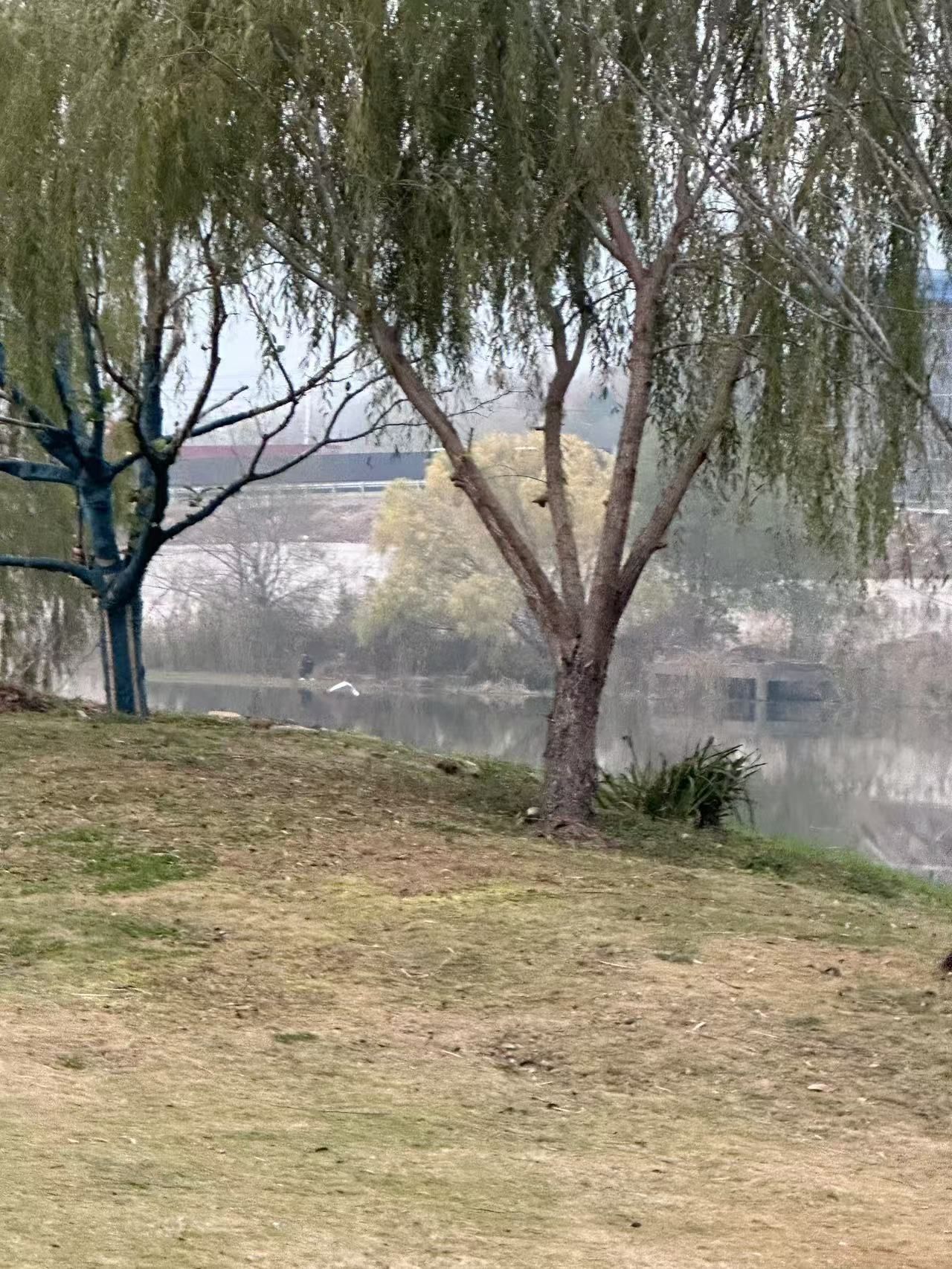 石浦公园旅行图片 1