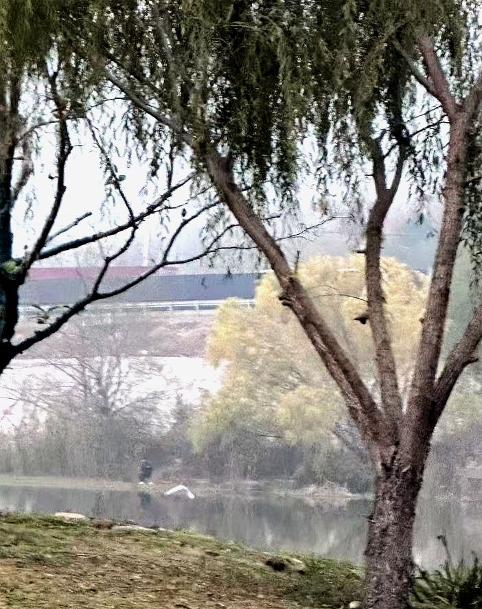 石浦公园旅行图片 2