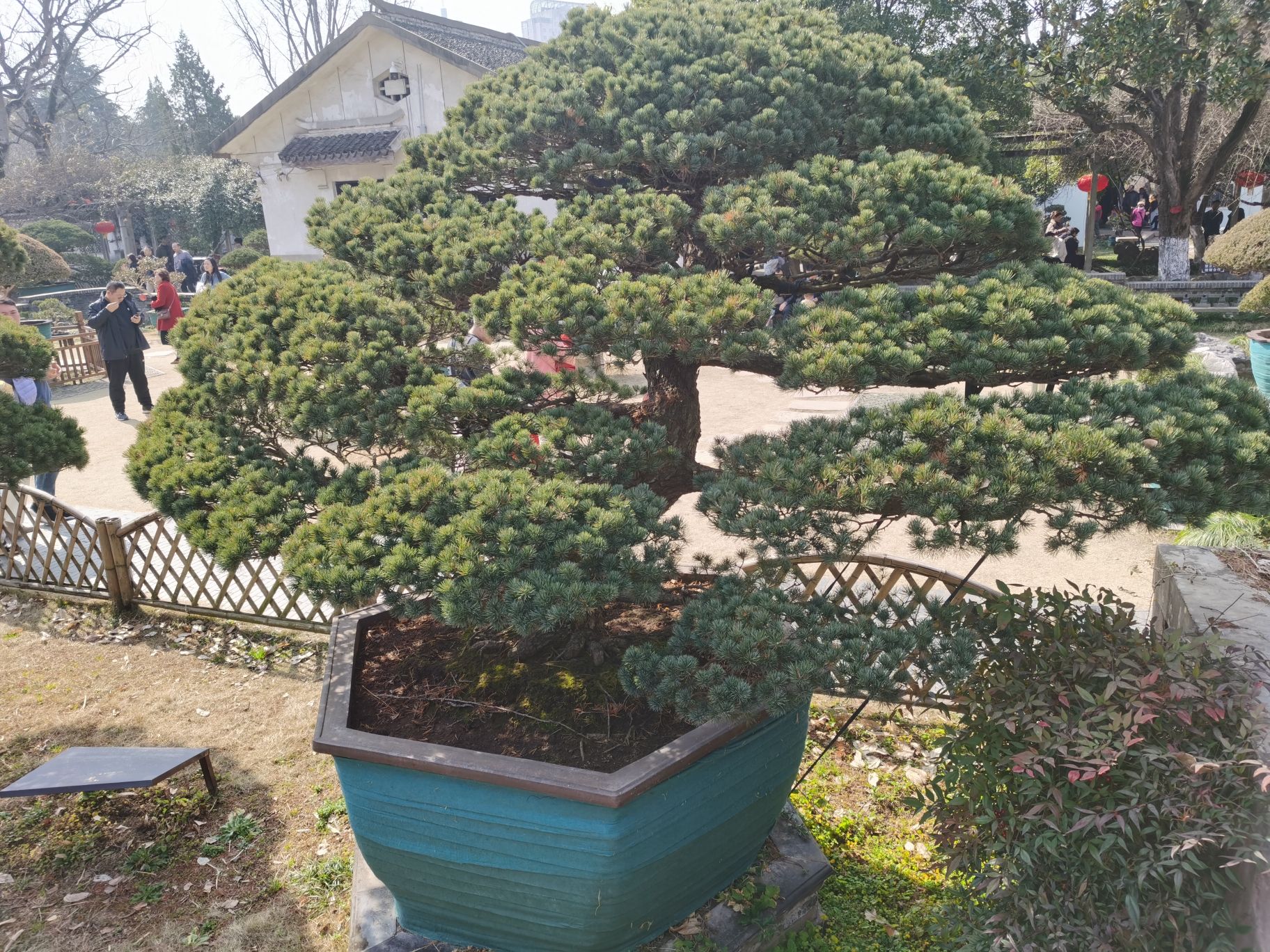 水绘园旅行图片 3