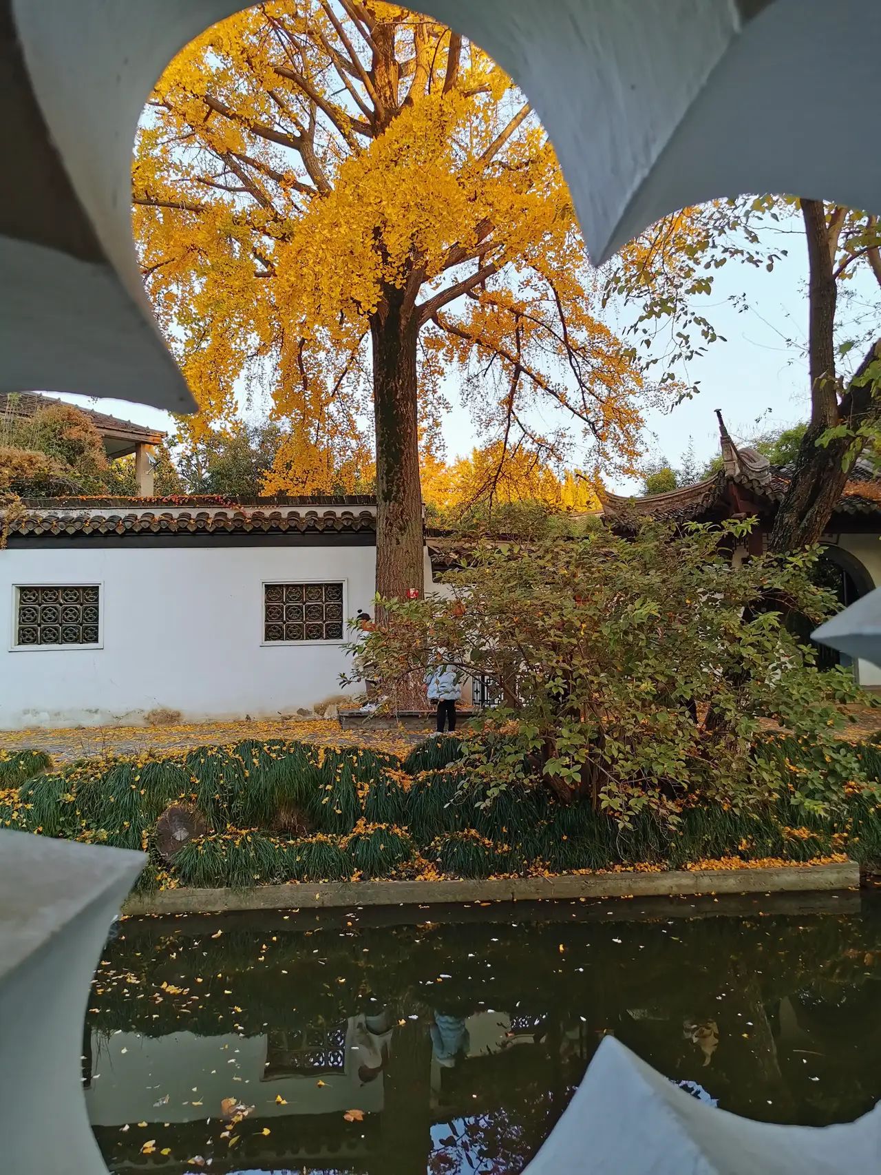 水绘园旅行图片 3