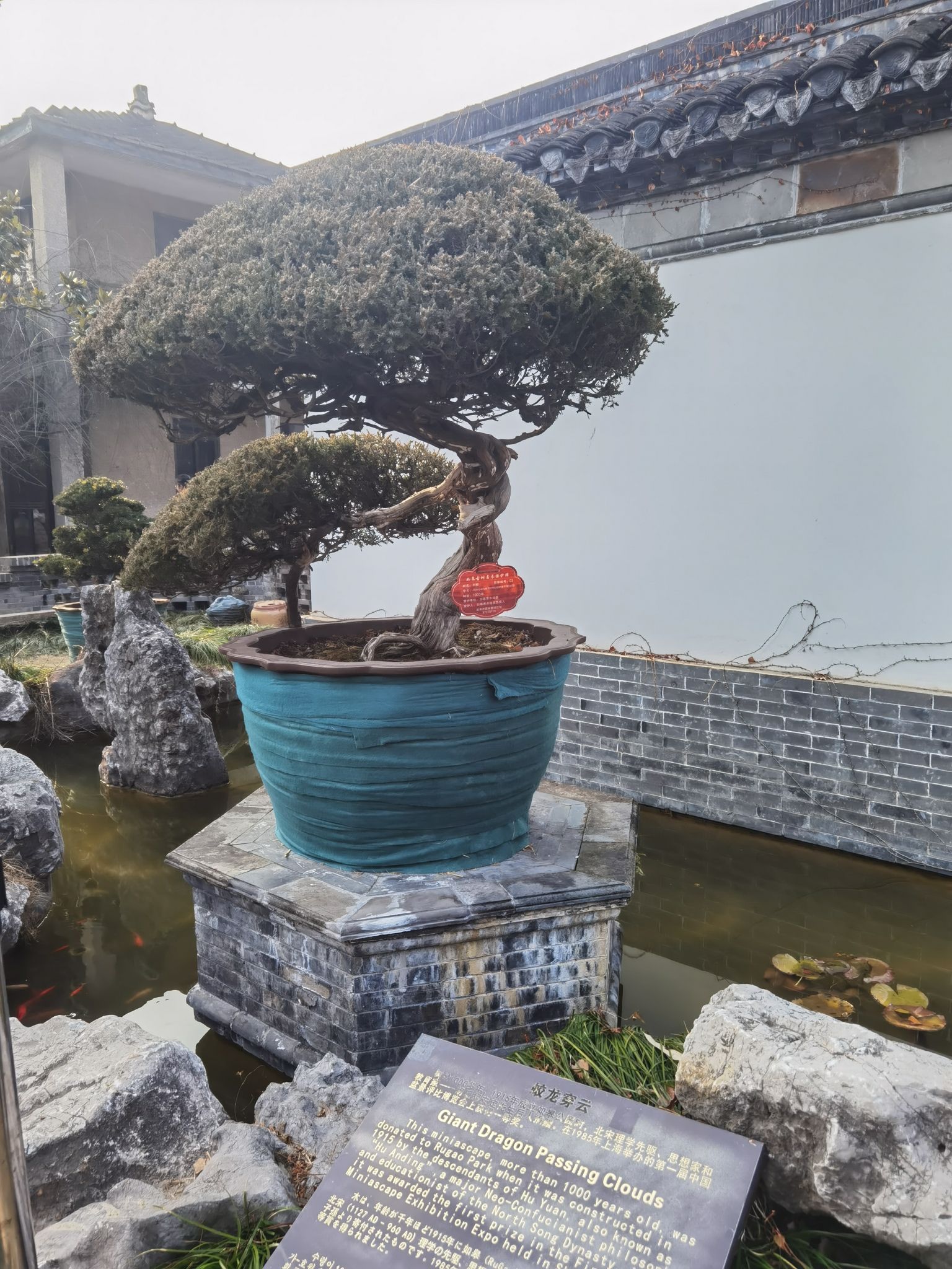 水绘园旅行图片 3