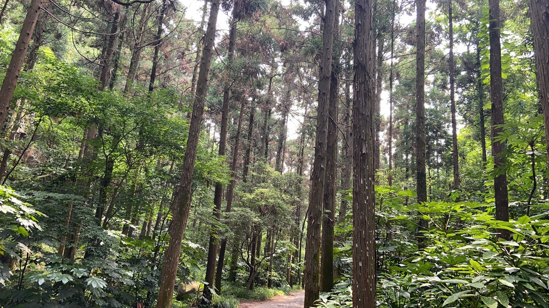 南通狼山风景名胜区旅行图片 3