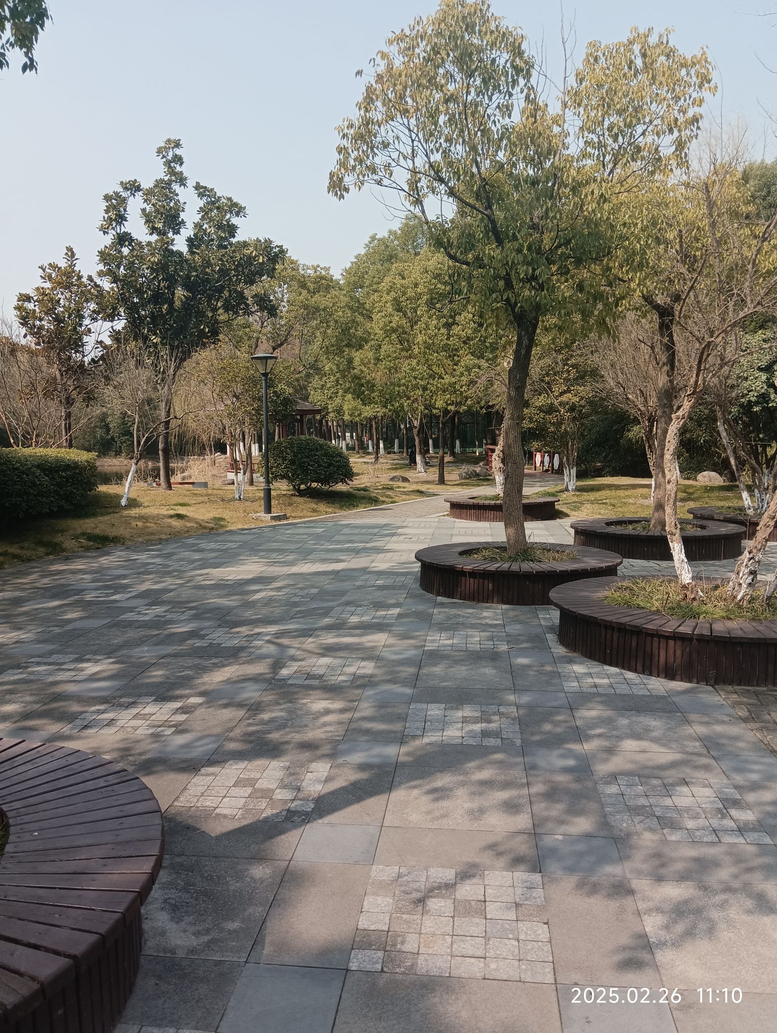 人民公园旅行图片 1