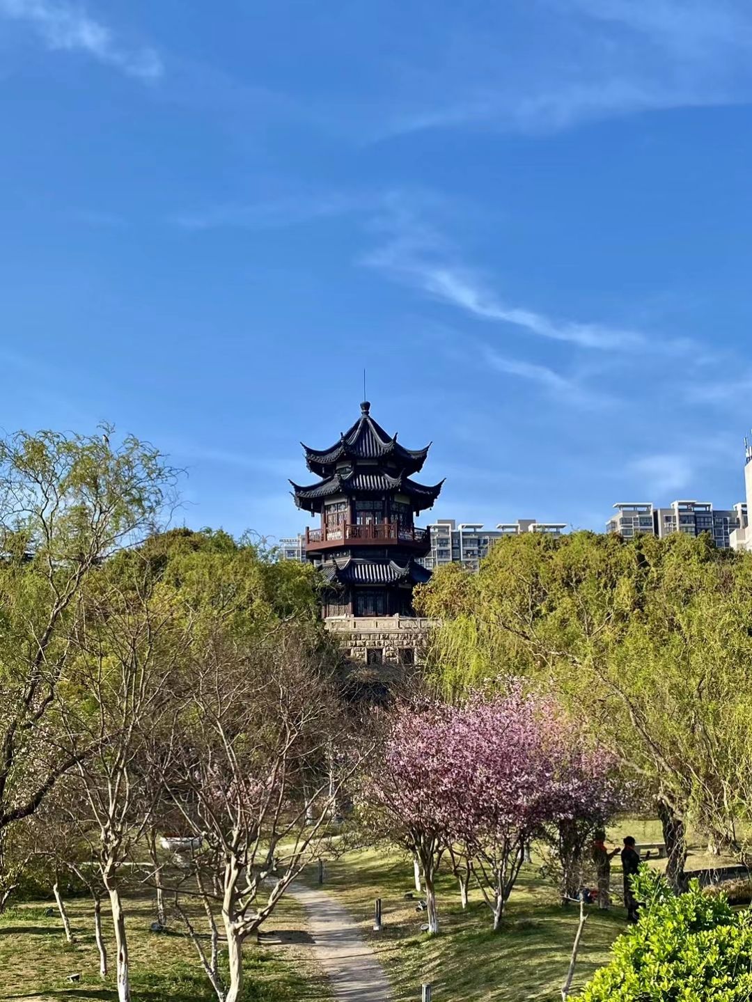 如东县人民公园旅行图片 2