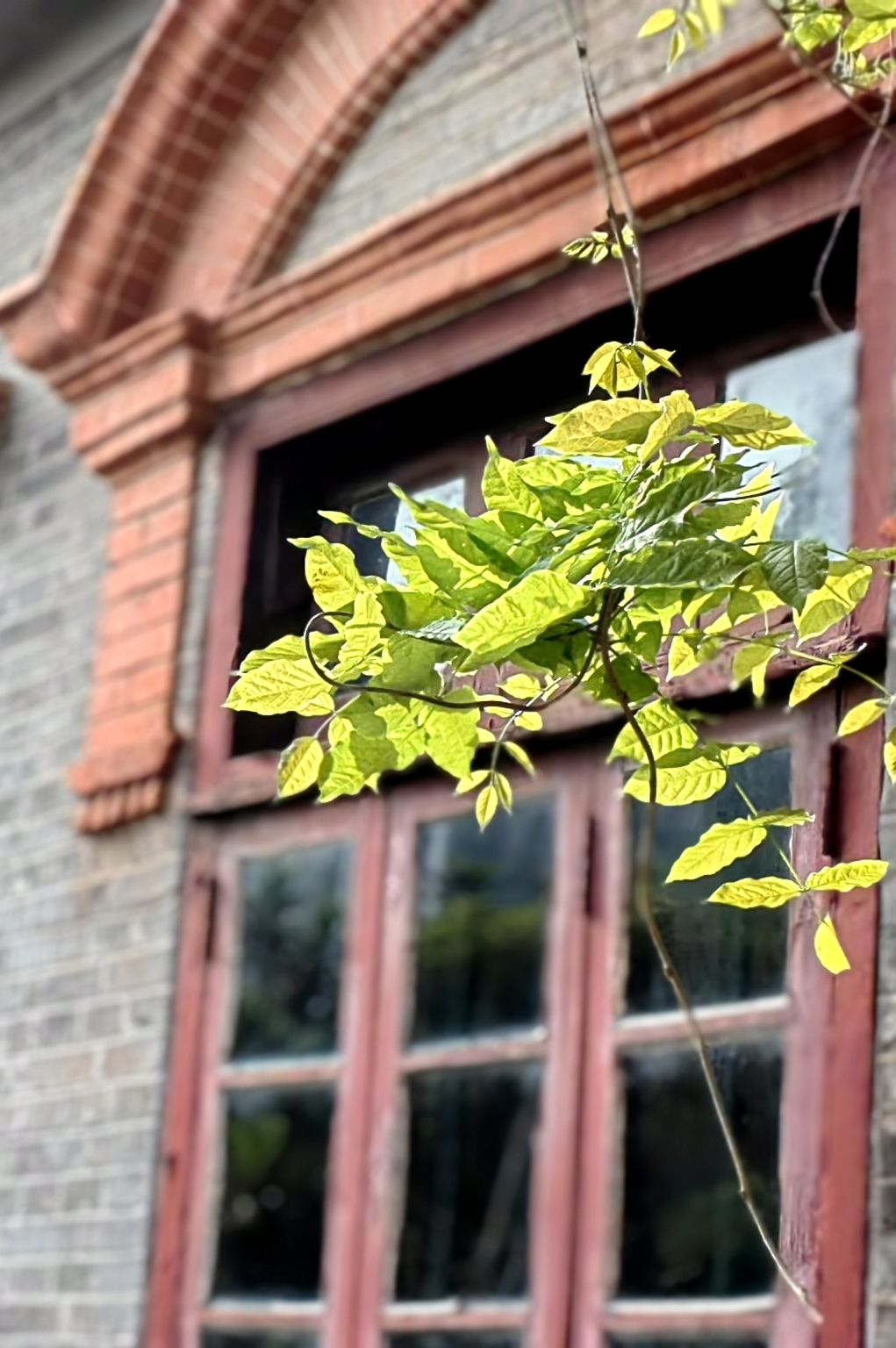 如东县人民公园旅行图片 2