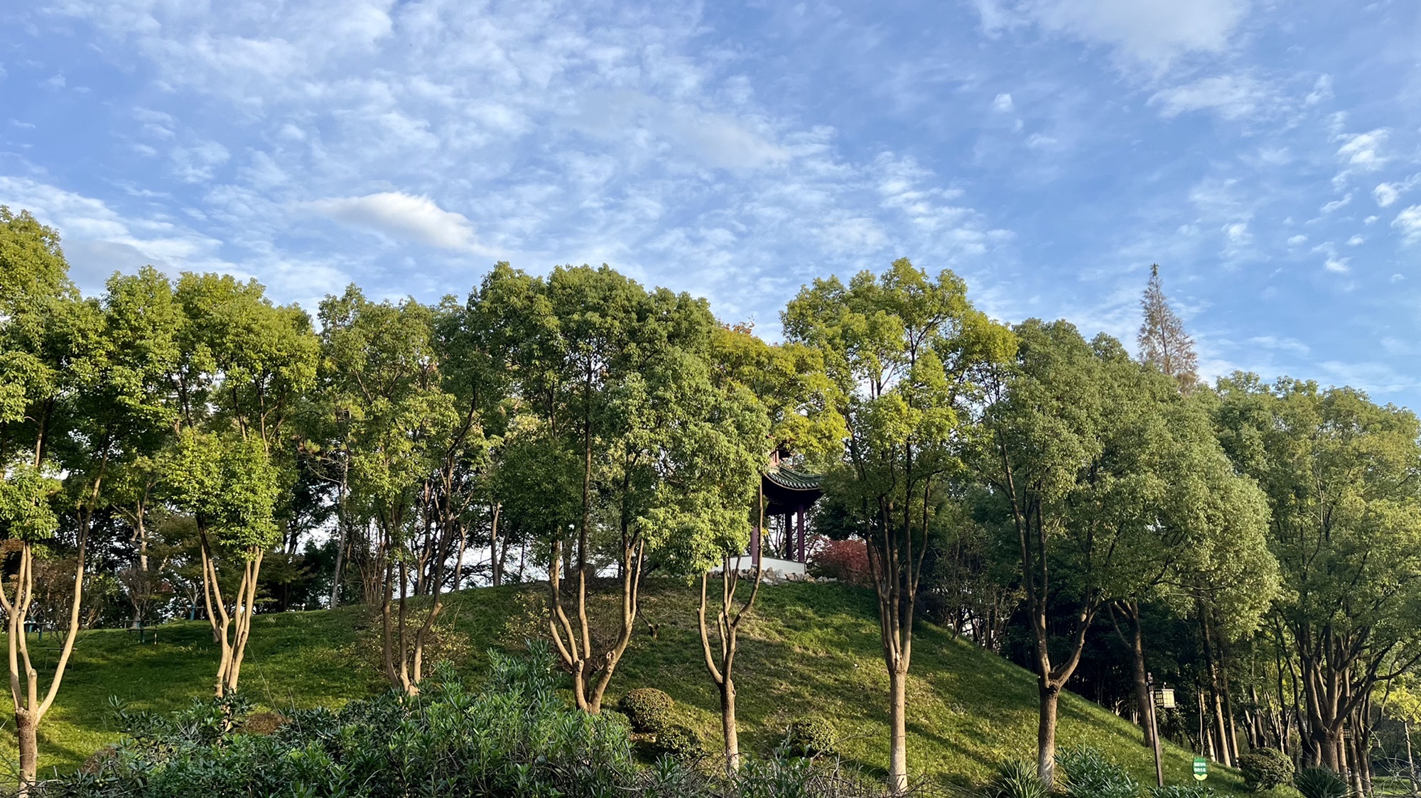 东洲公园旅行图片 1