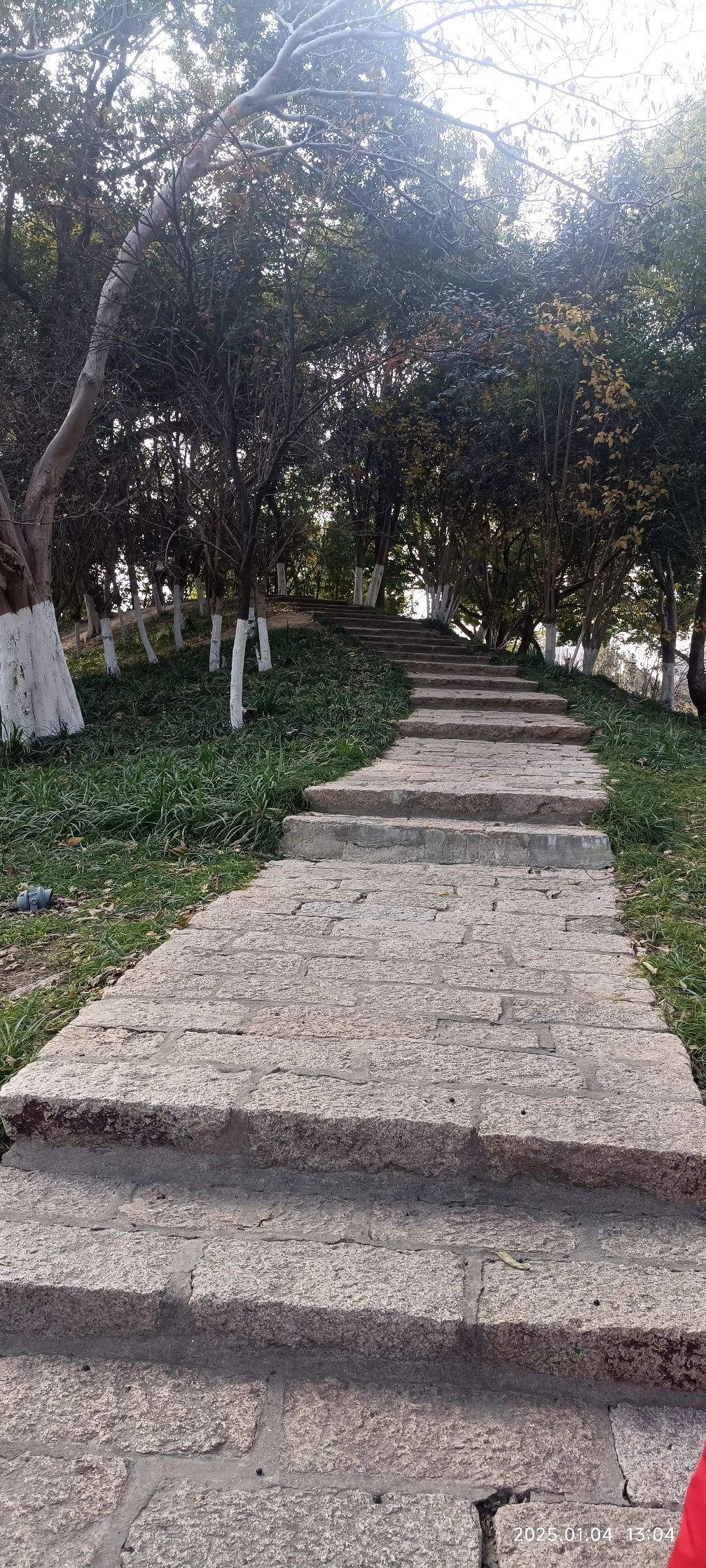 东洲公园旅行图片 2