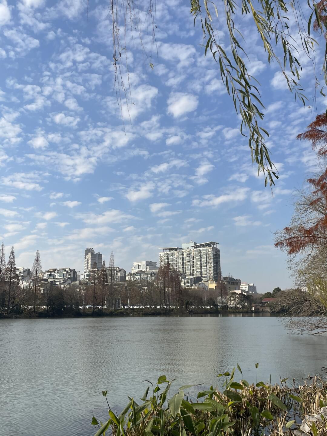 南通濠河风景名胜区旅行图片 3