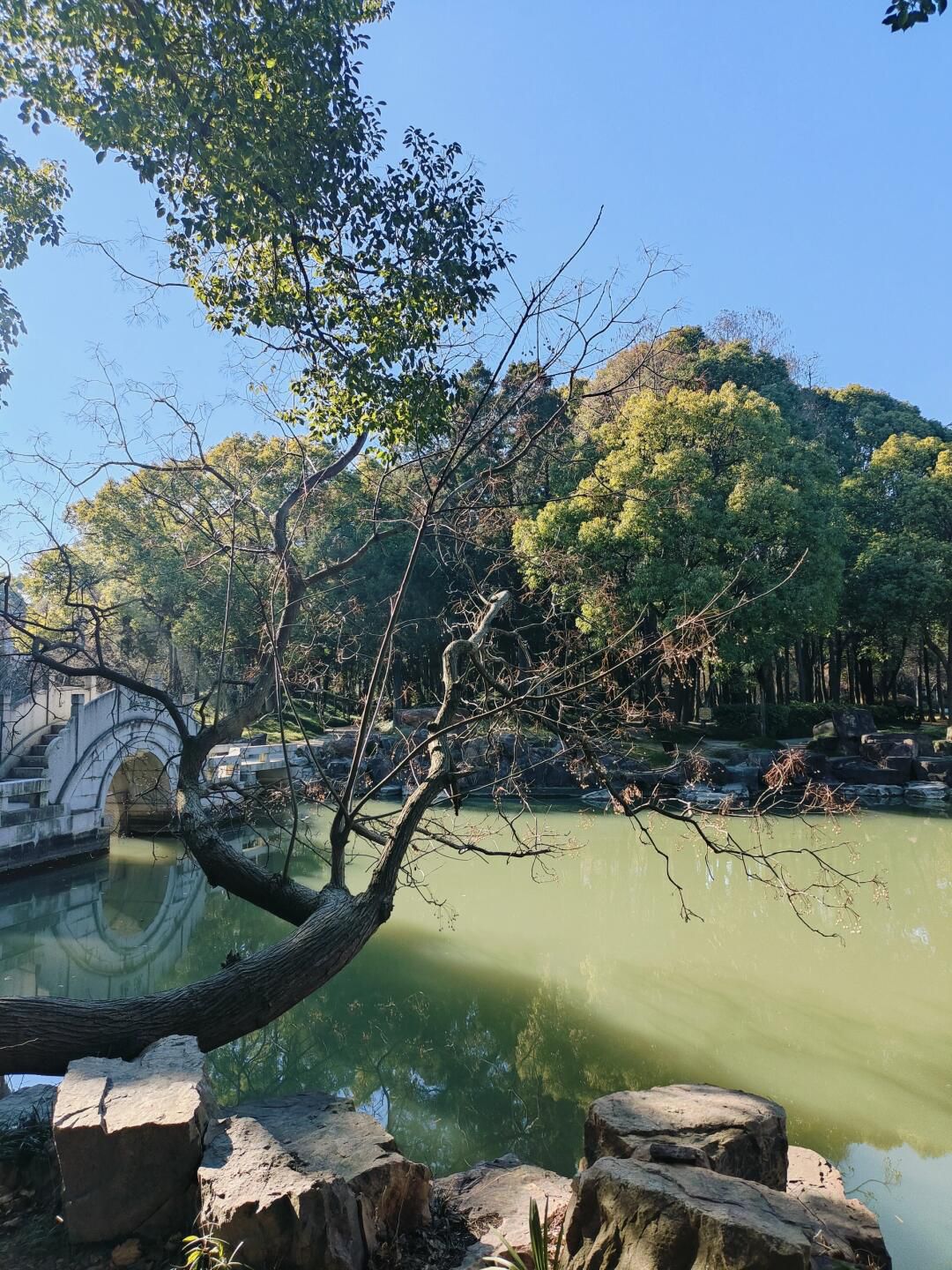 啬园旅行图片 2