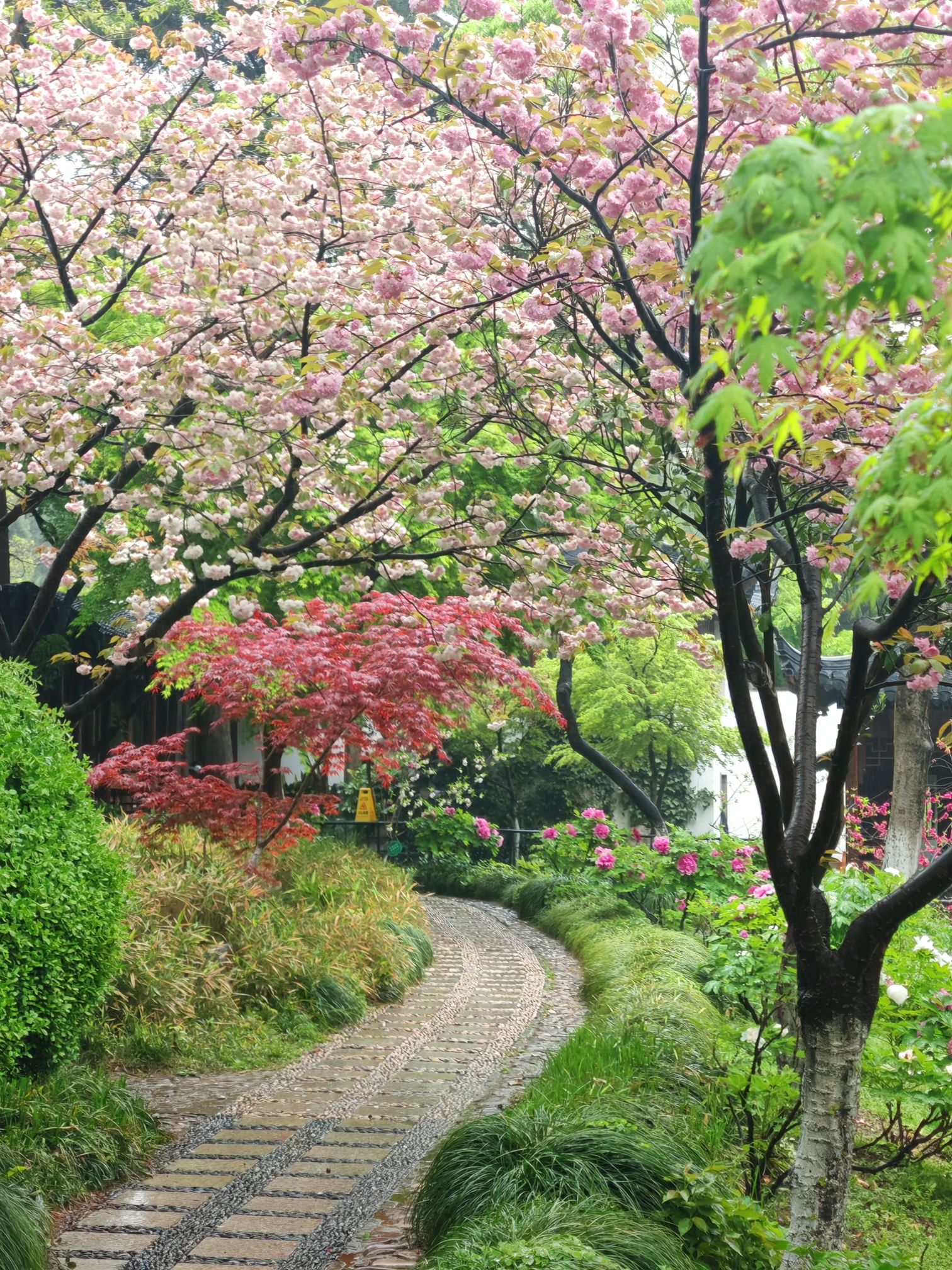 南通狼山森林公园