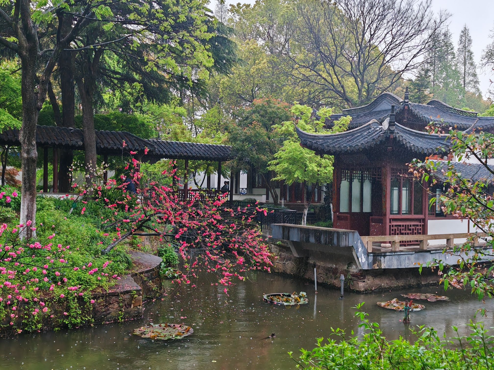 南通狼山森林公园