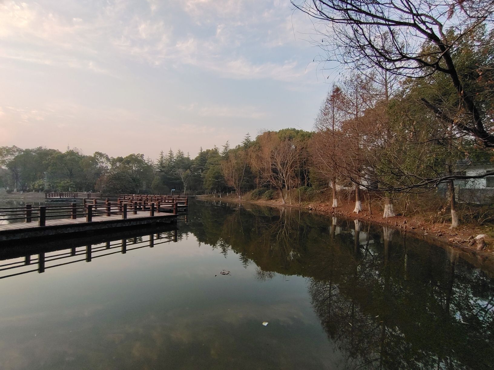 紫薇公园旅行图片 2