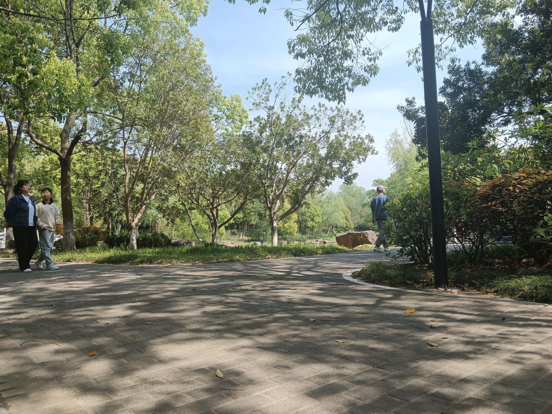 紫薇公园旅行图片 3