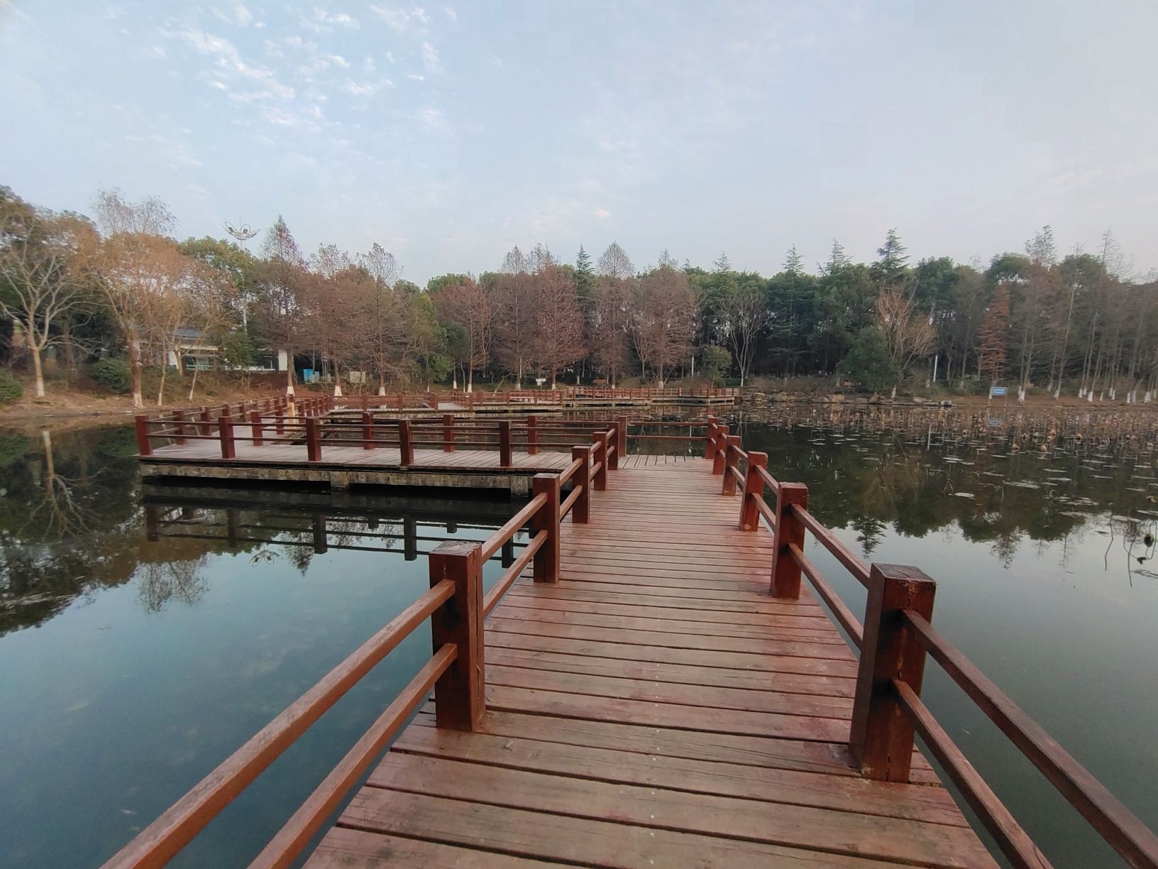 紫薇公园旅行图片 3