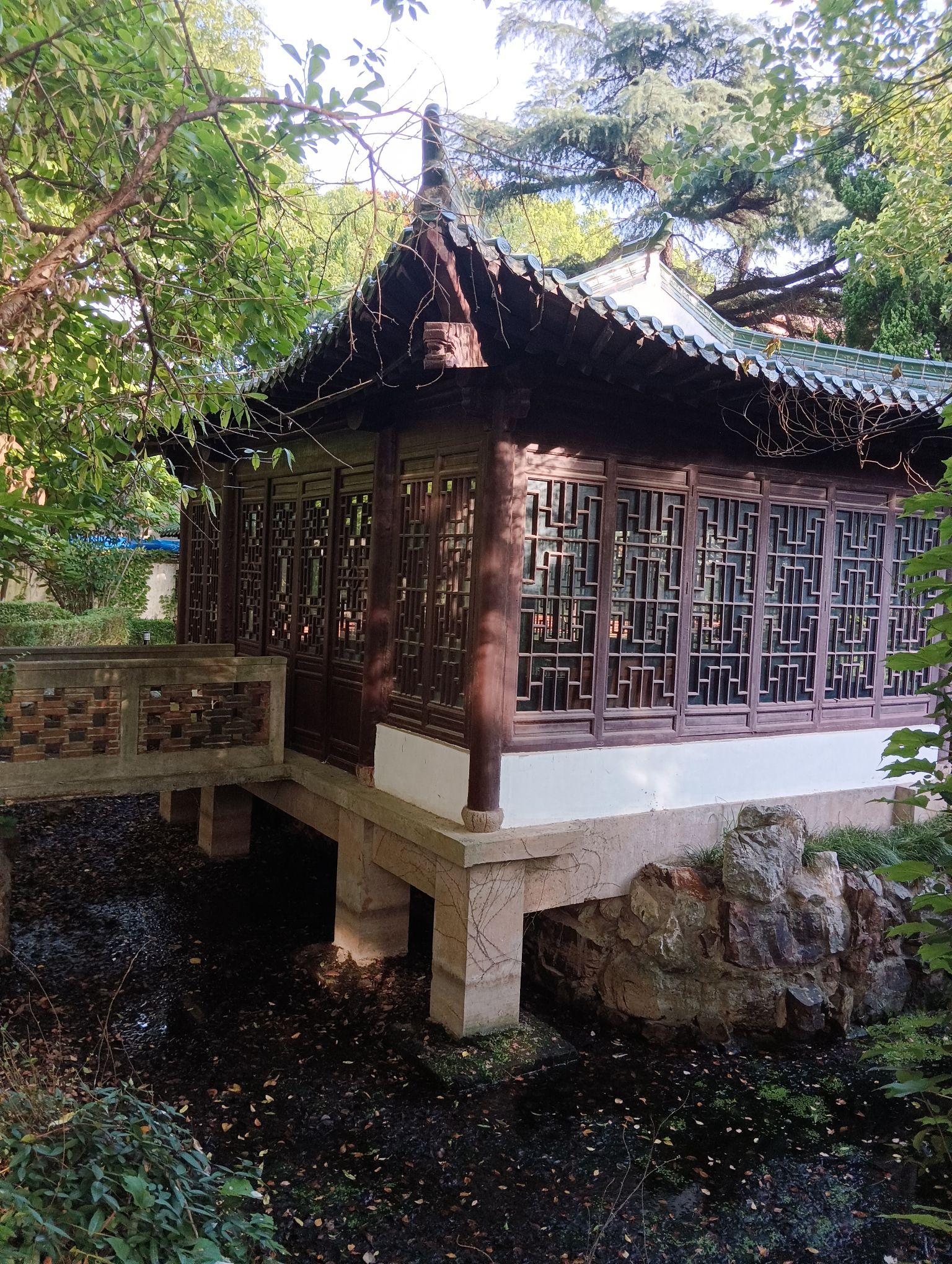 颐园旅行图片 3