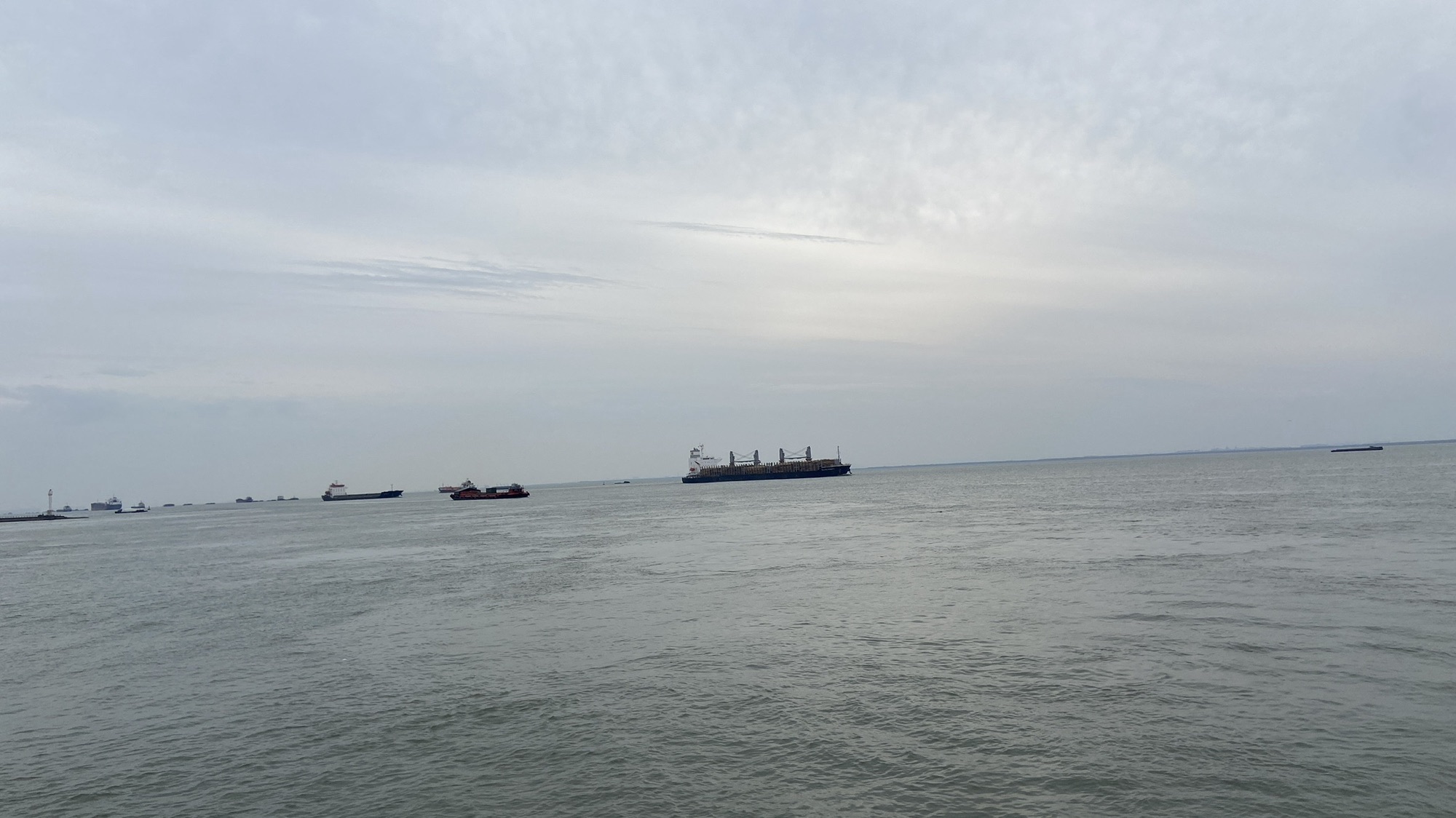 滨江公园旅行图片 1